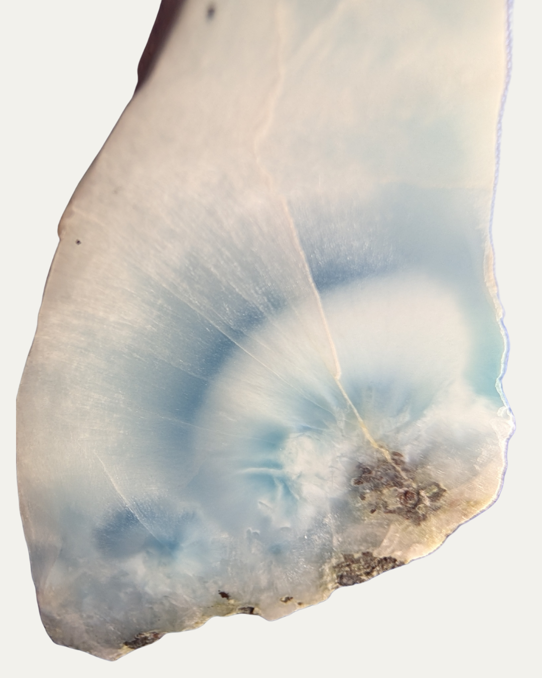 Polished Larimar Fossilized Caribbean Reef with Copper