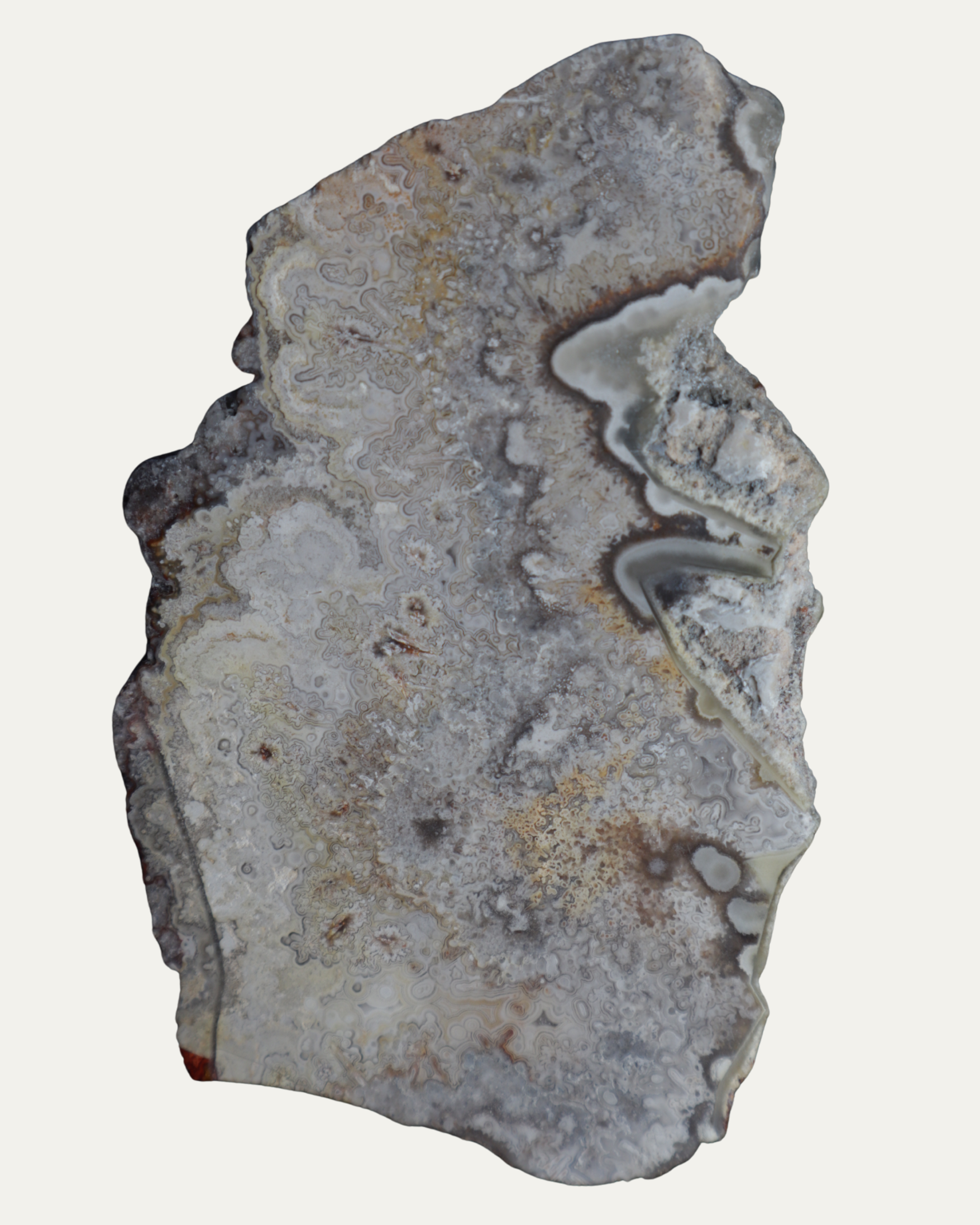 Mexican Crazy Lace Agate Polished Lost Ancients Jewelry