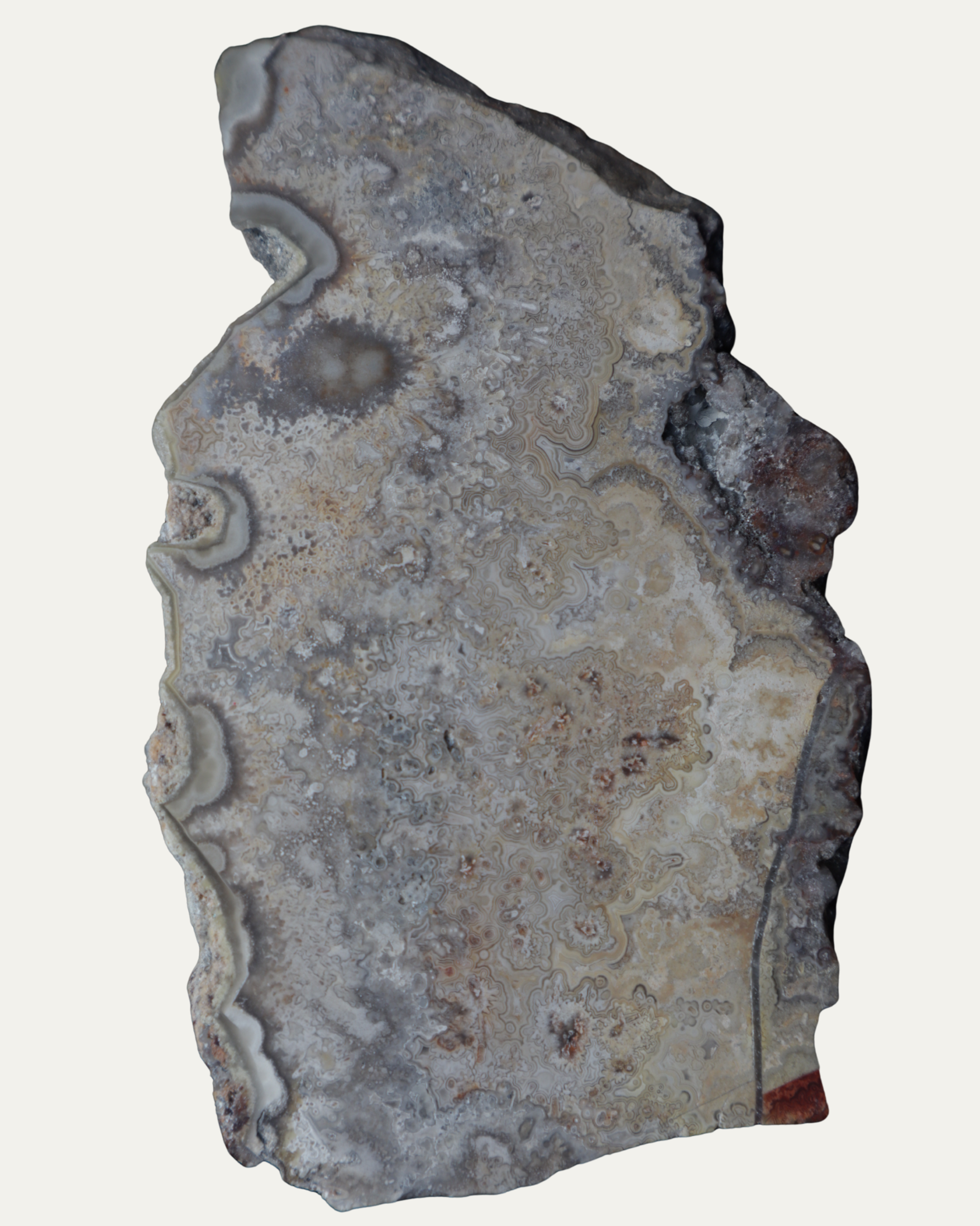 Polished Mexican Crazy Lace Agate