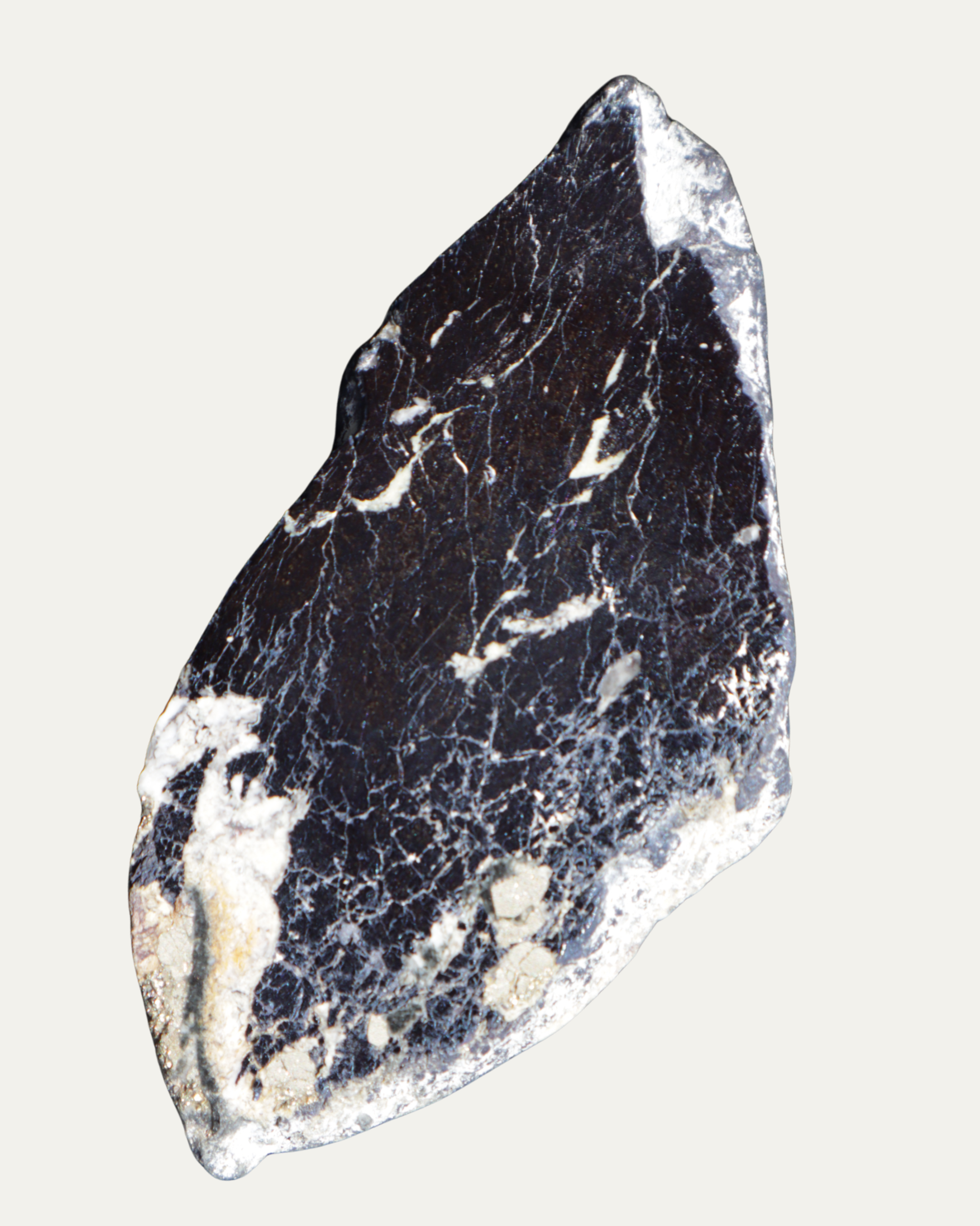 Montana Covelite Polished Lost Ancients Jewelry