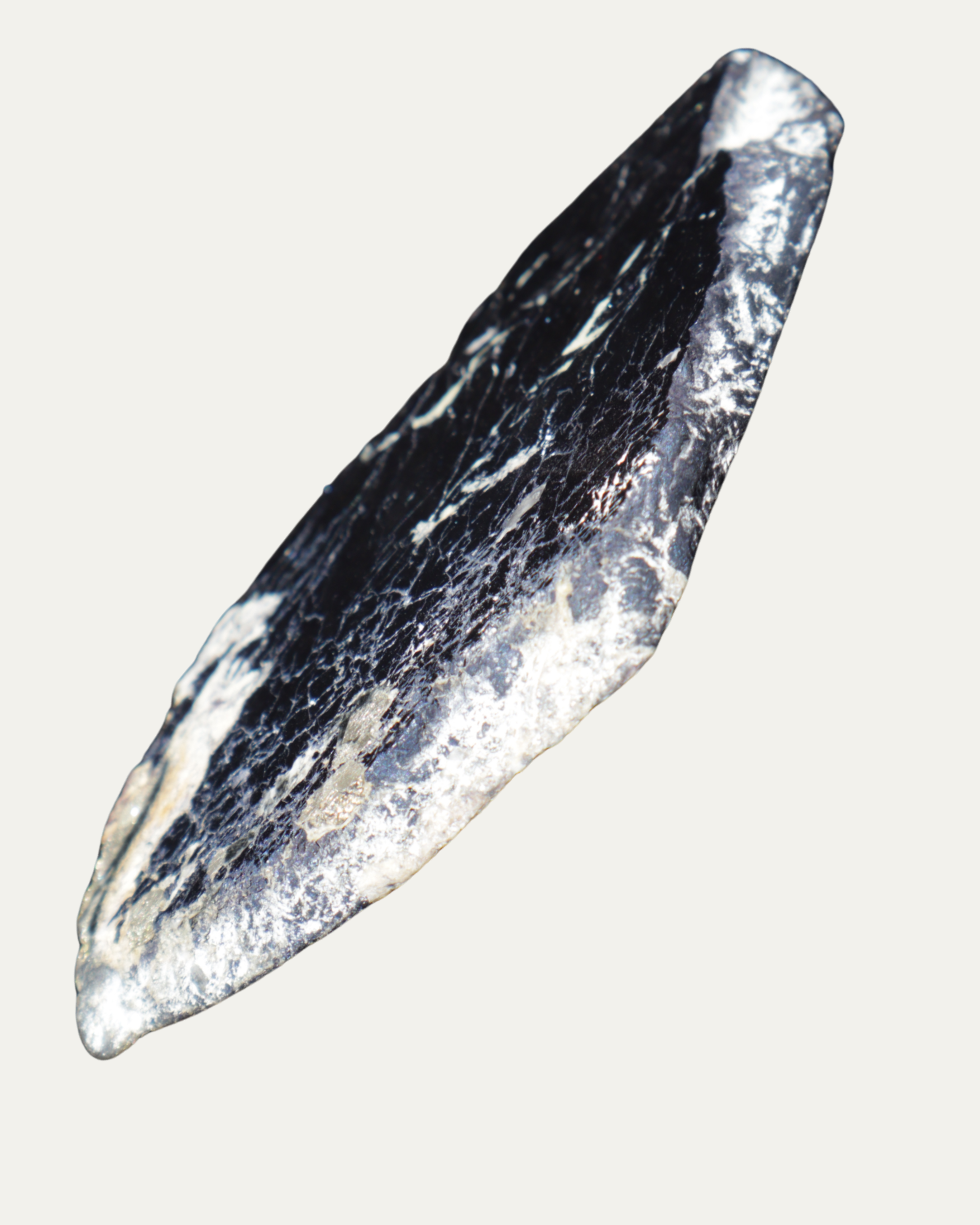 Polished Montana Covellite