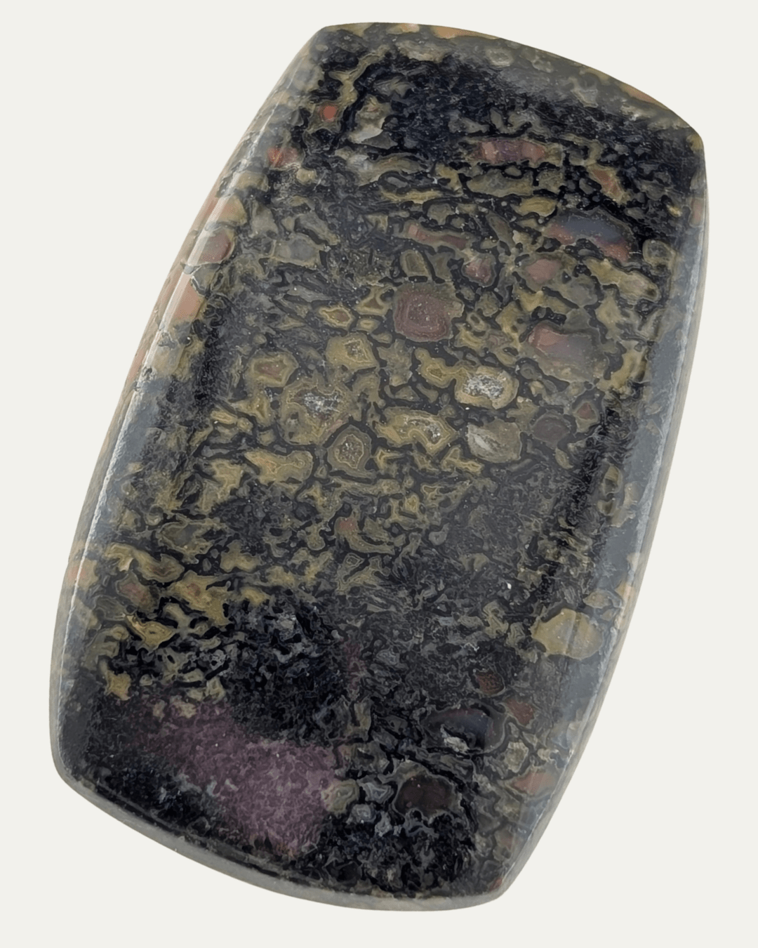Gem Utah Dinosaur Bone Cabochon (26.7ct) - Lost Ancients Jewelry
