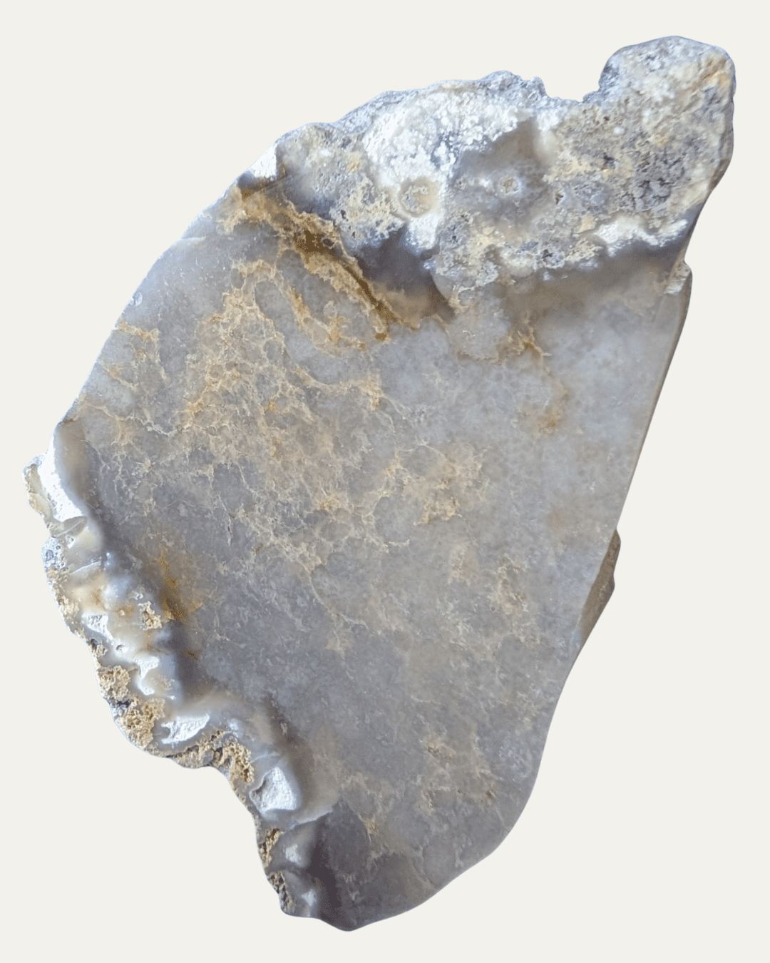 Polished Fossilized Sea Sponge (Texas) - Lost Ancients Jewelry