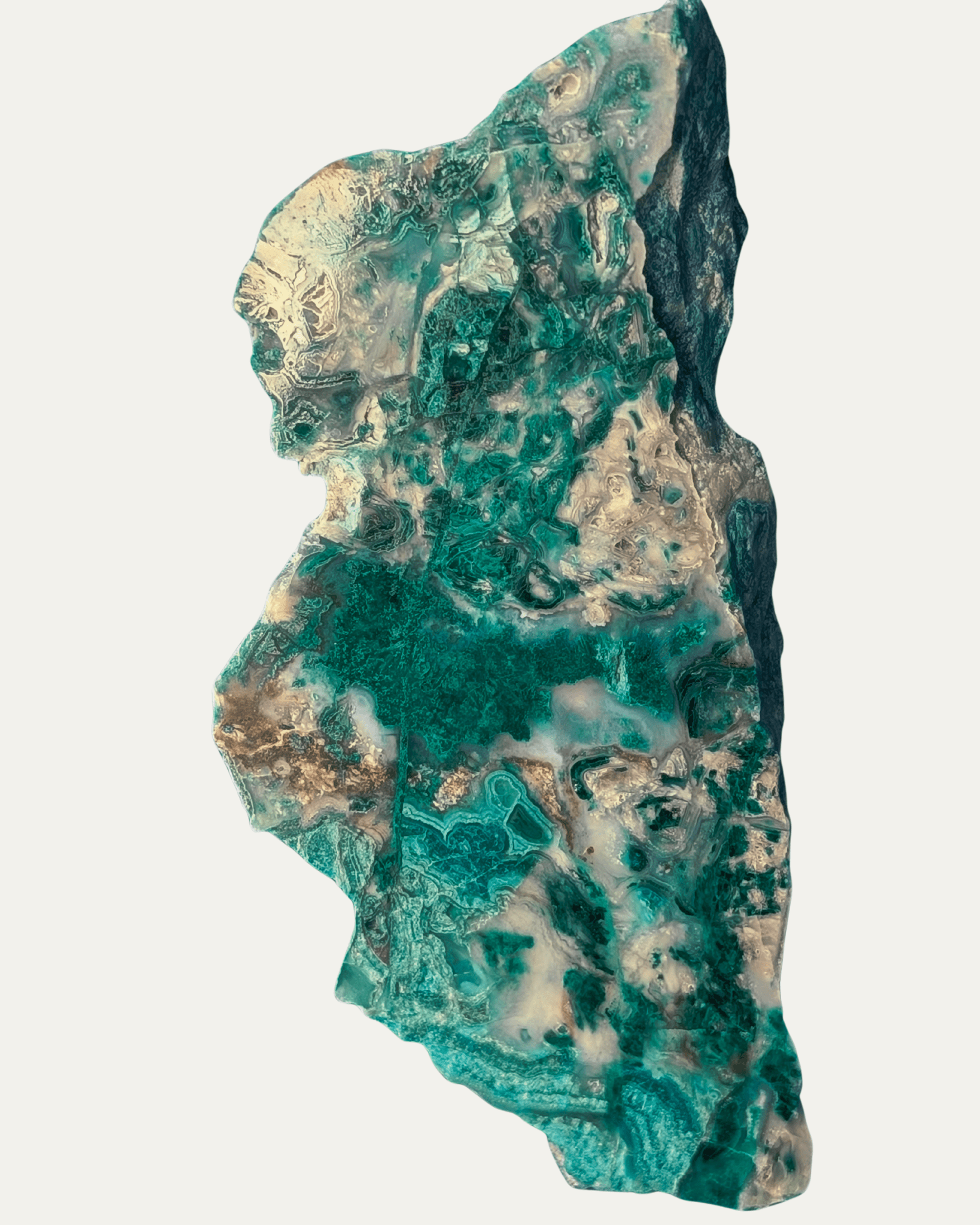 Polished Inspiration Mine Gem Silica with Malachite (Globe Miami) - Lost Ancients Jewelry