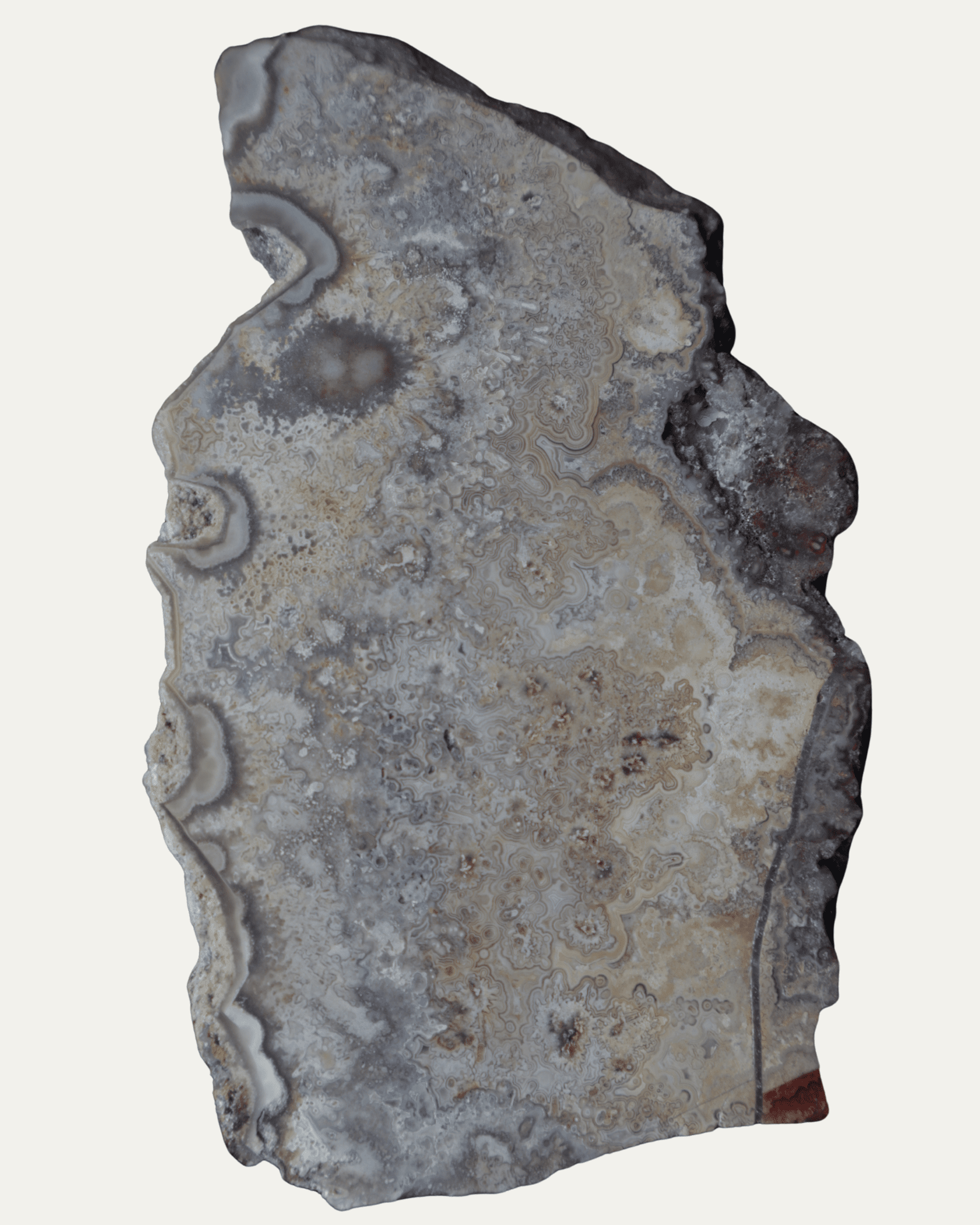 Polished Mexican Crazy Lace Agate - Lost Ancients Jewelry