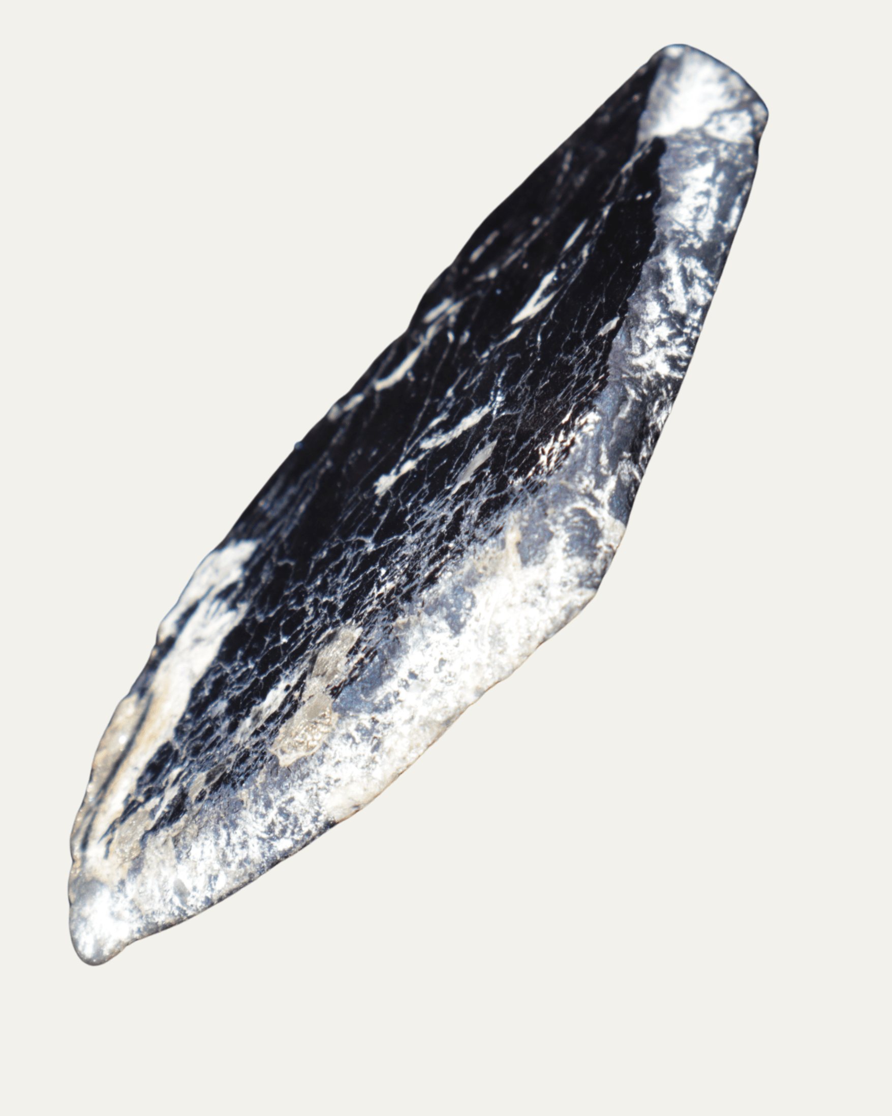 Polished Montana Covellite - Lost Ancients Jewelry