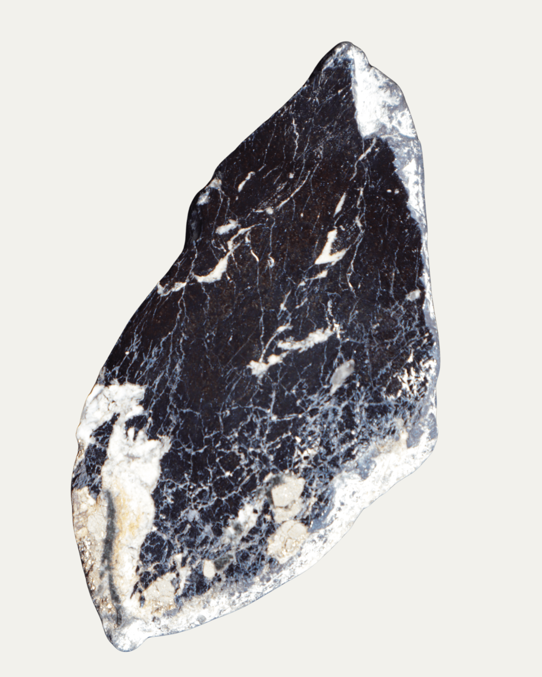 Polished Montana Covellite - Lost Ancients Jewelry