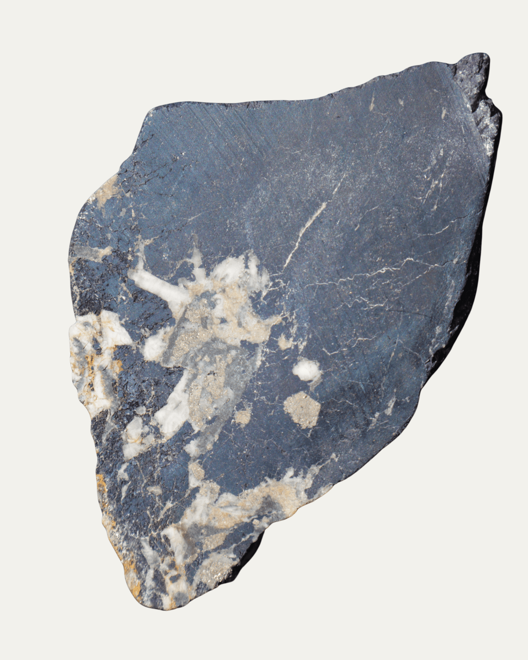 Polished Montana Covellite - Lost Ancients Jewelry