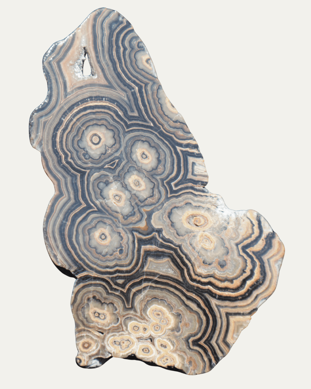 Polished Orbital Flowering Tube Onyx (Old Stock) - Lost Ancients Jewelry