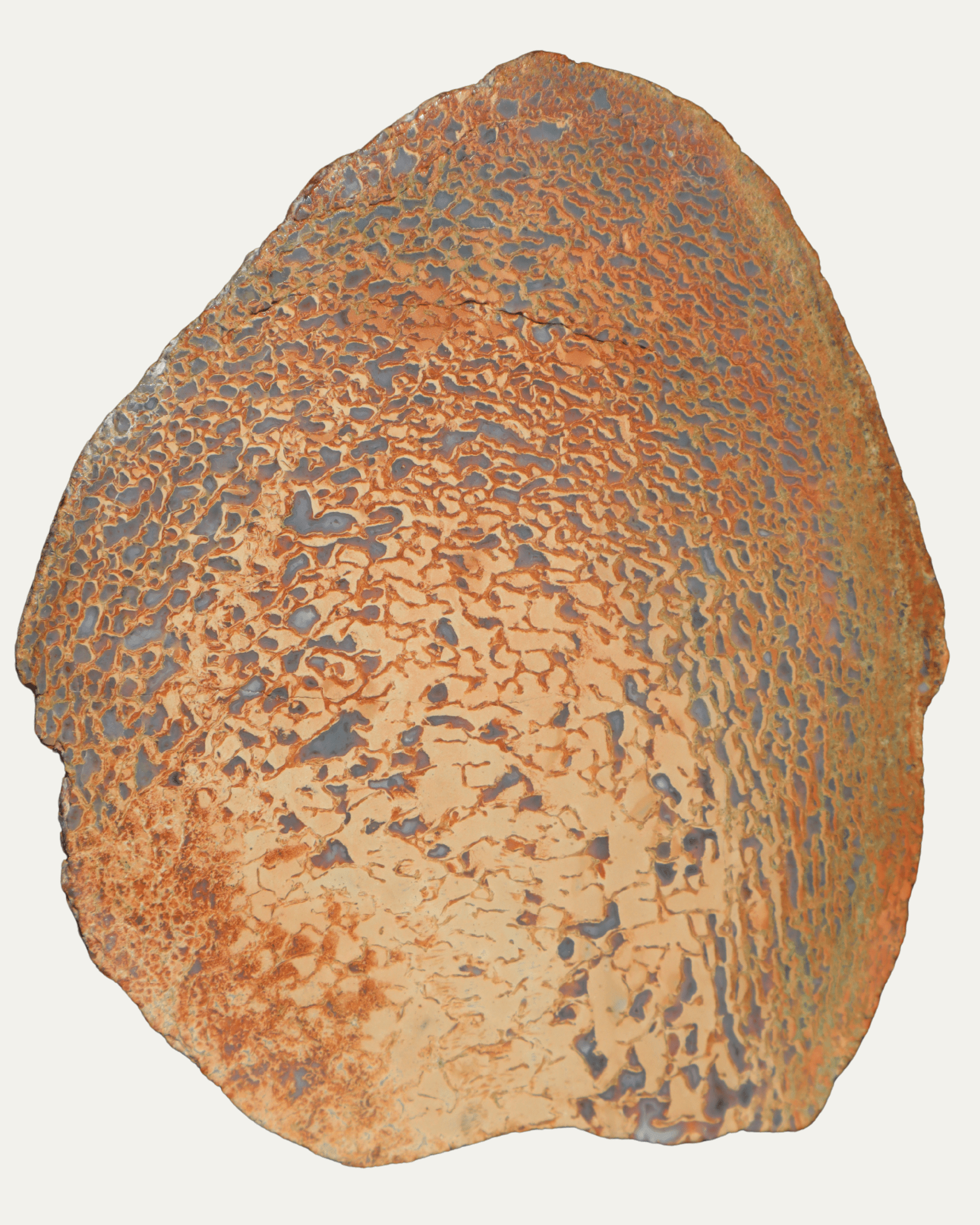 Polished Utah Gem Agatized Dinosaur Bone - Lost Ancients Jewelry