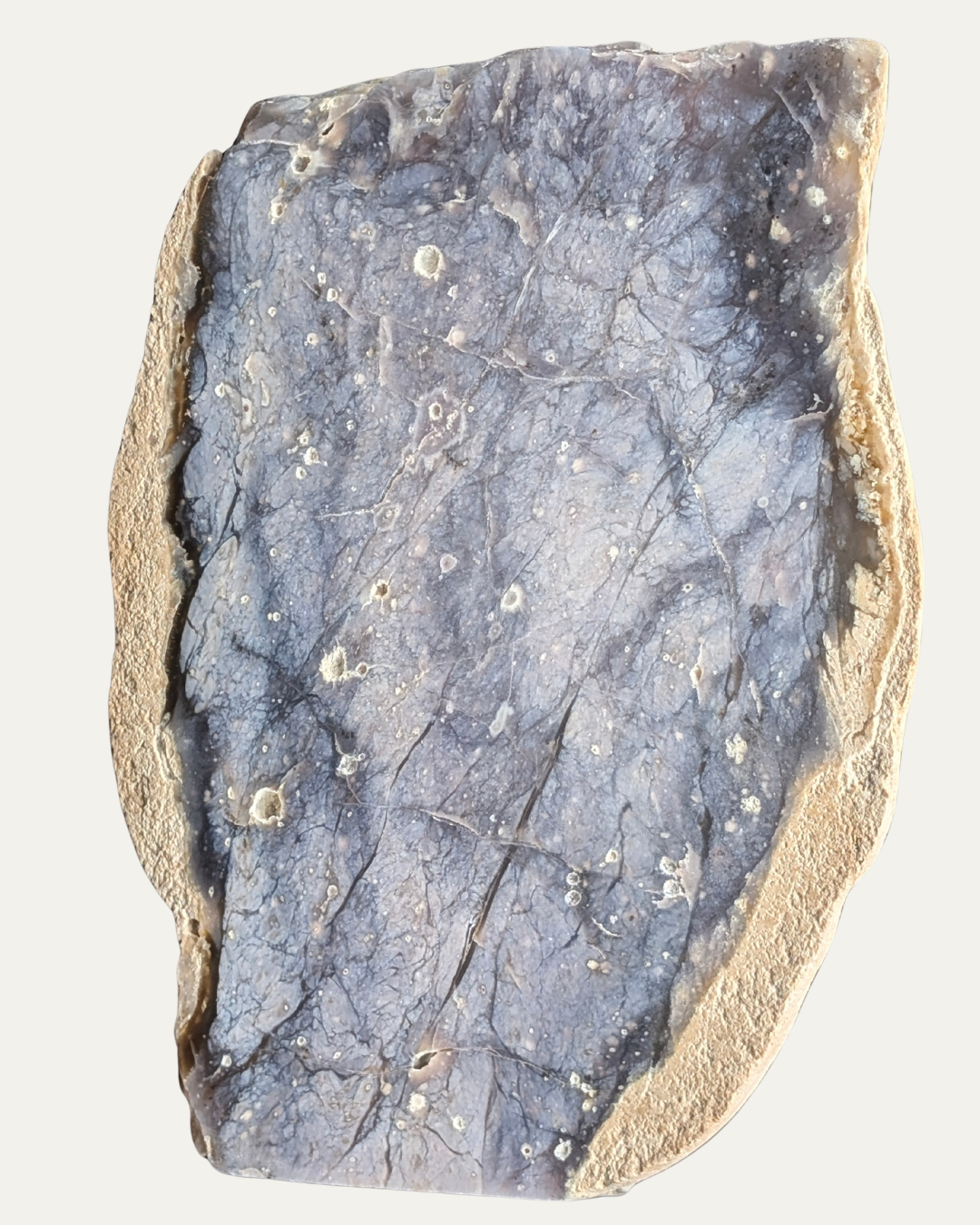 Polished Amethyst Sage Nevada (206.3g)