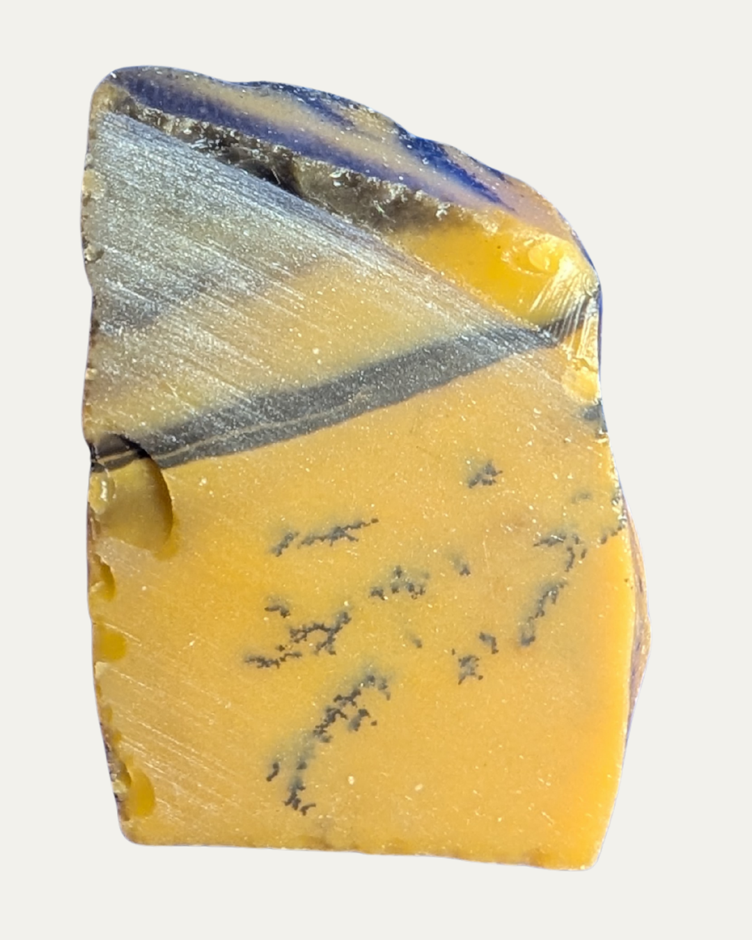 Polished Australian Dendritic Opal