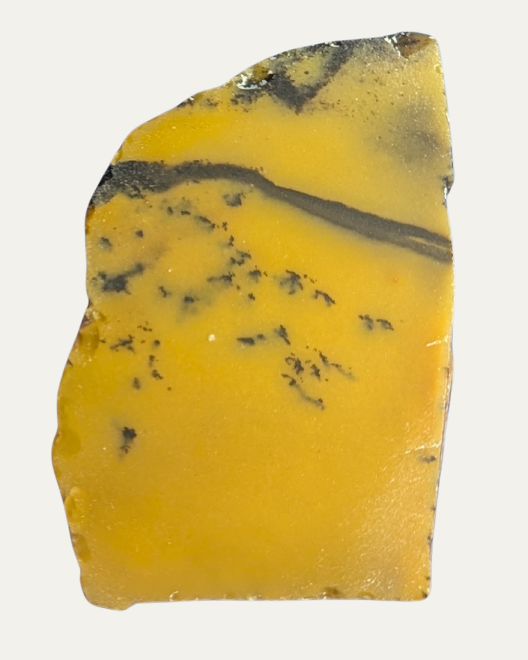 Polished Australian Dendritic Opal