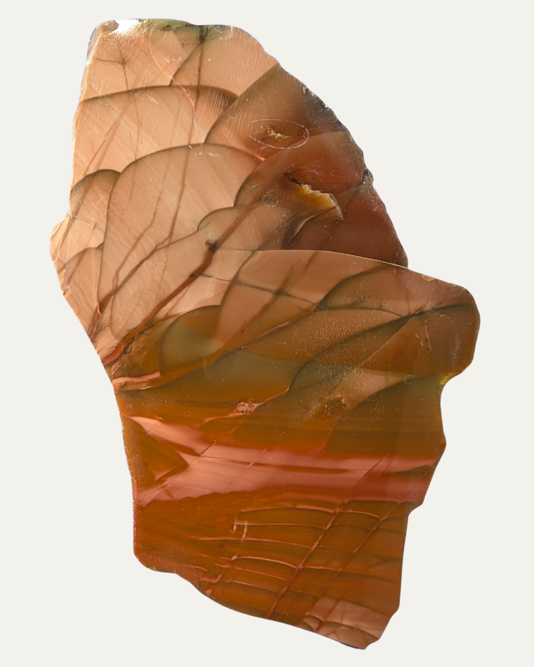 Polished Bruno Jasper (Idaho)