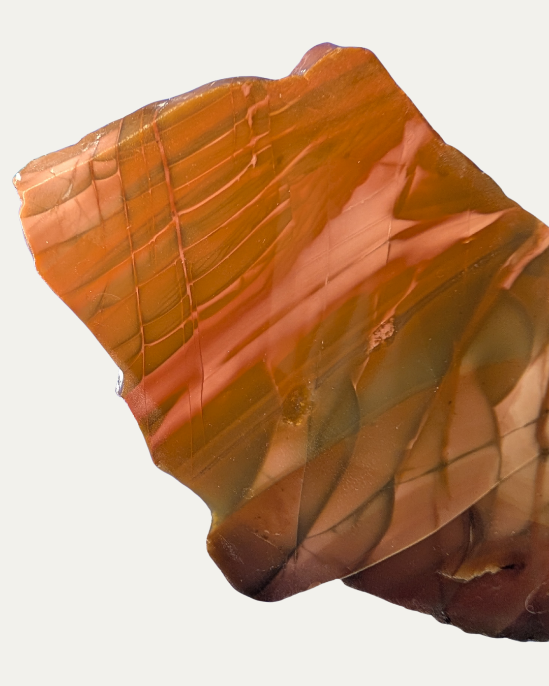Polished Bruno Jasper (Idaho)