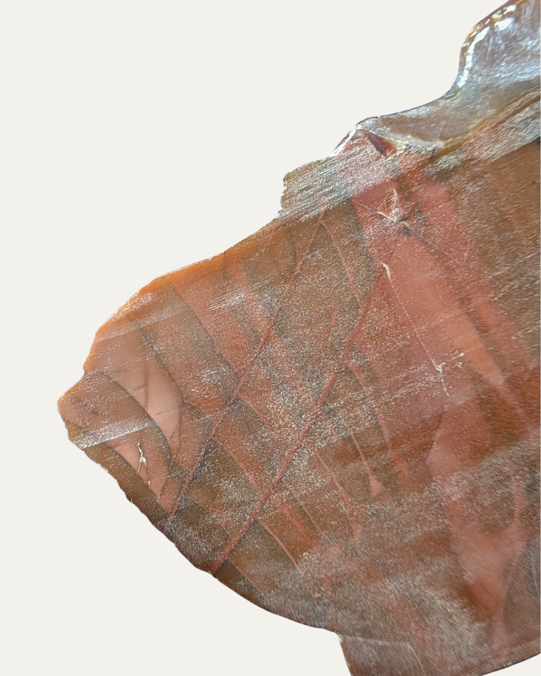 Polished Bruno Jasper (Idaho)