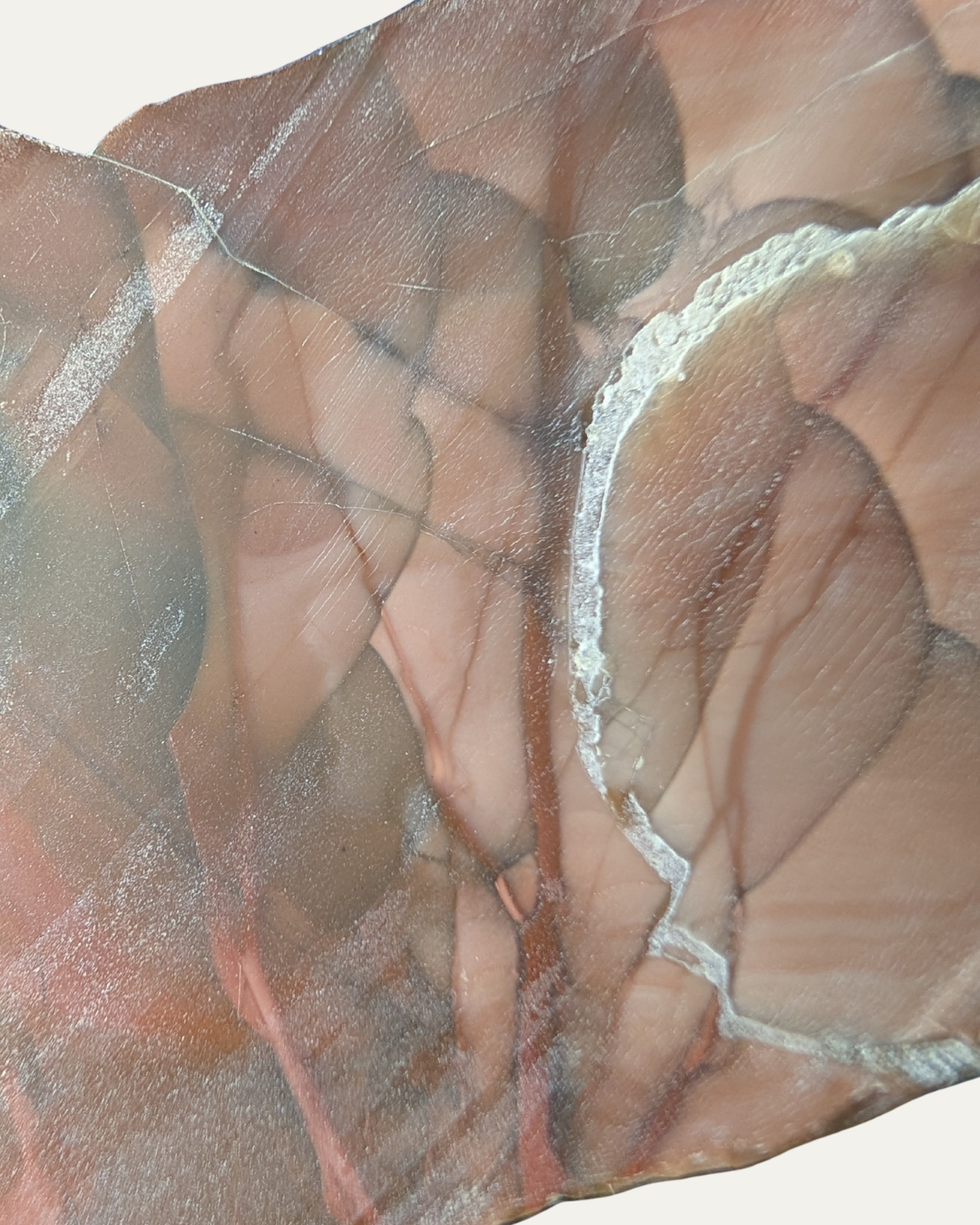 Polished Bruno Jasper (Idaho)