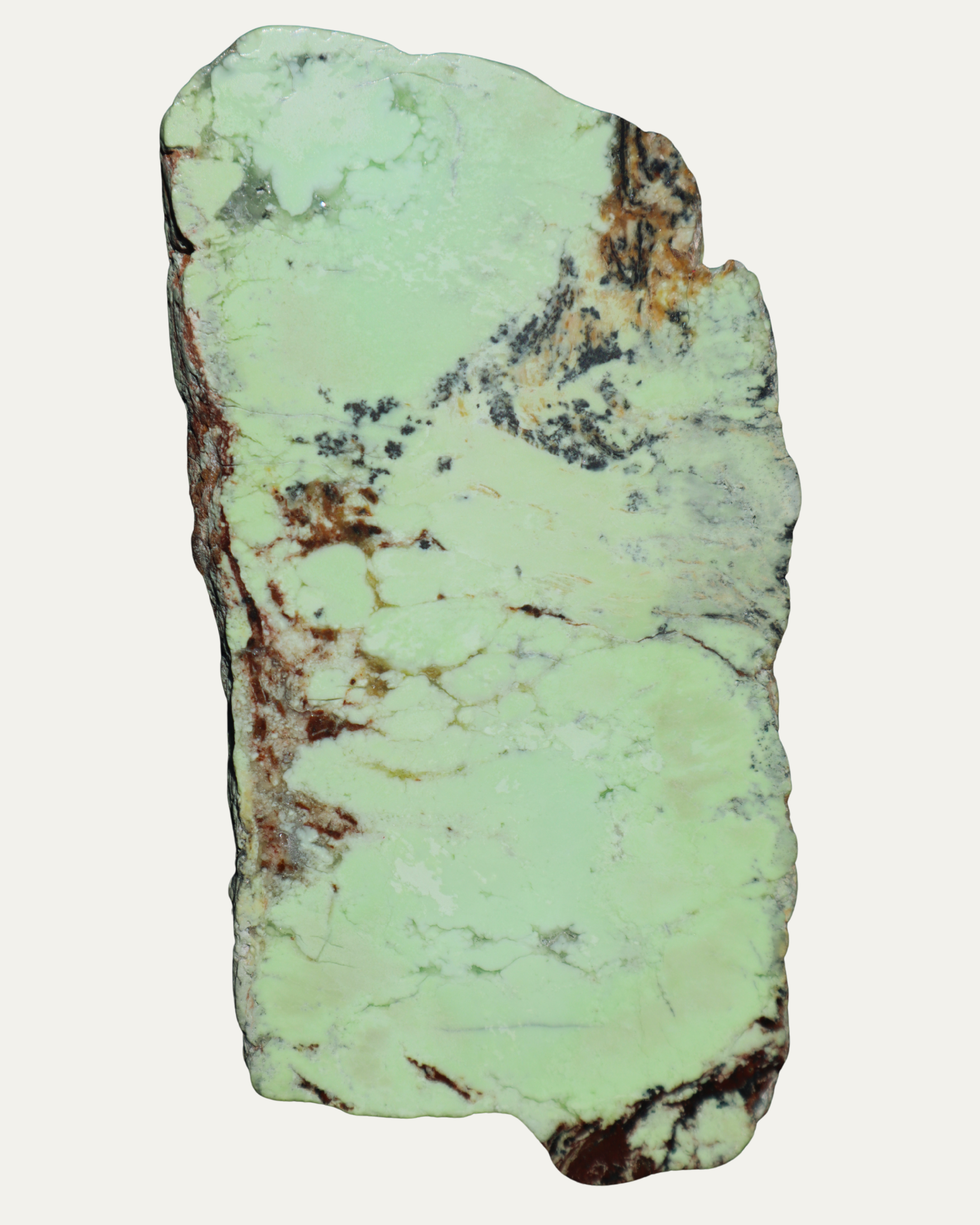 Nickeloan Magnesite Lemon Chrysoprase Polished Lost Ancients Jewelry