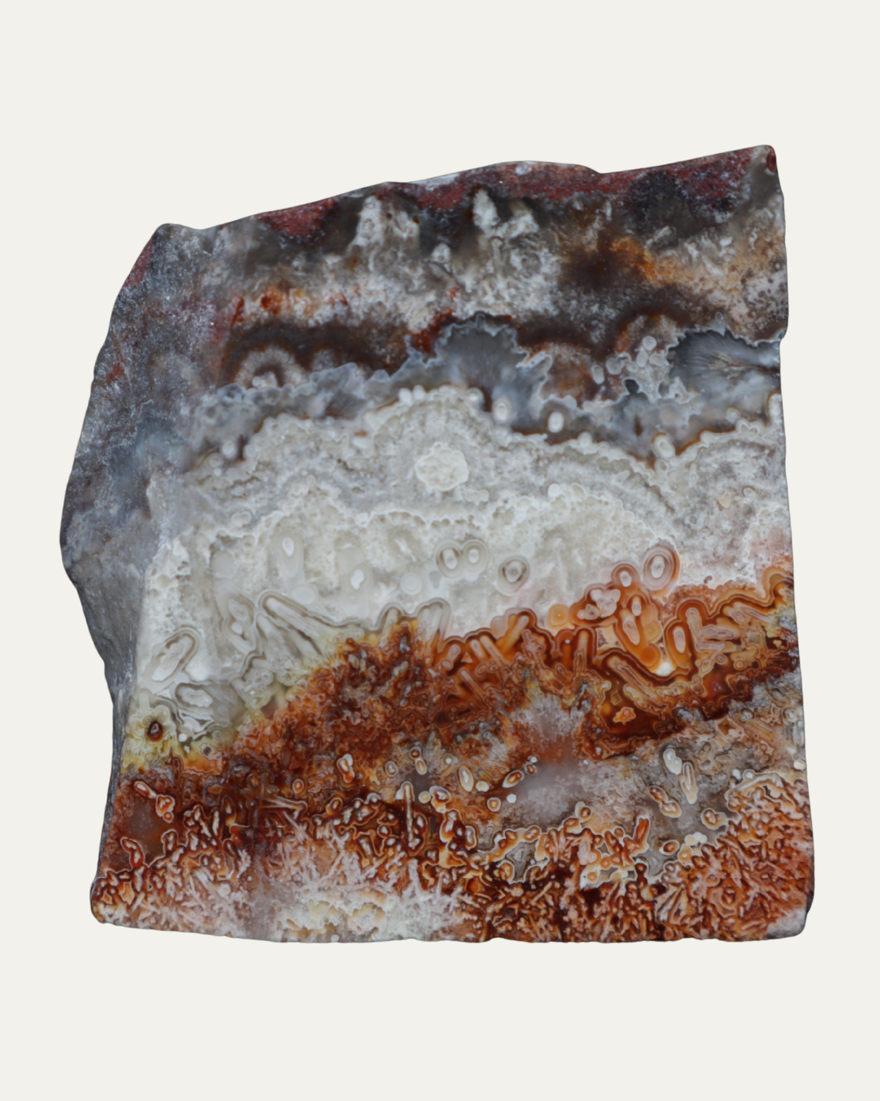 Mexican Crazy Lace Agate Polished Lost Ancients Jewelry