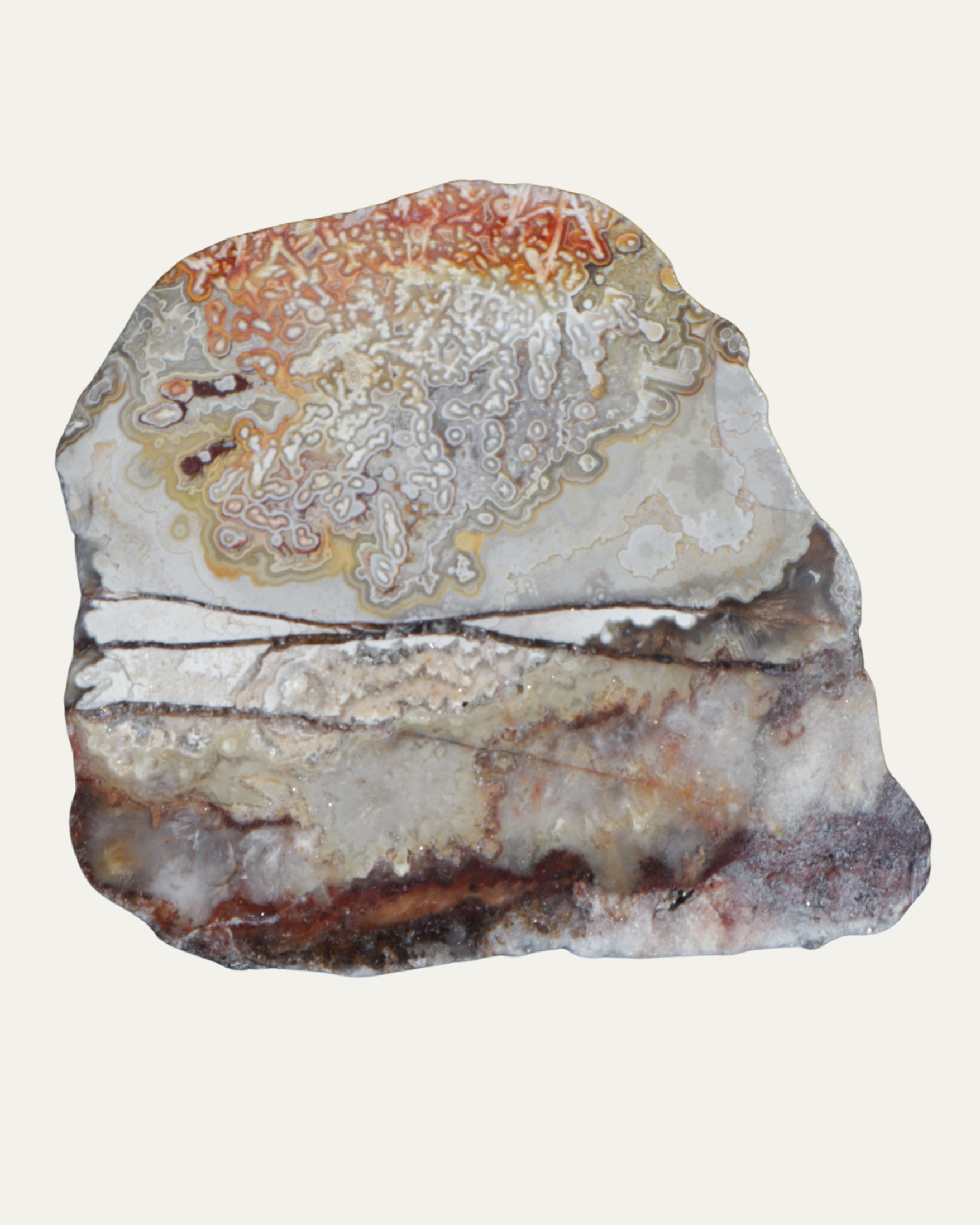 Mexican Crazy Lace Agate Polished Lost Ancients Jewelry