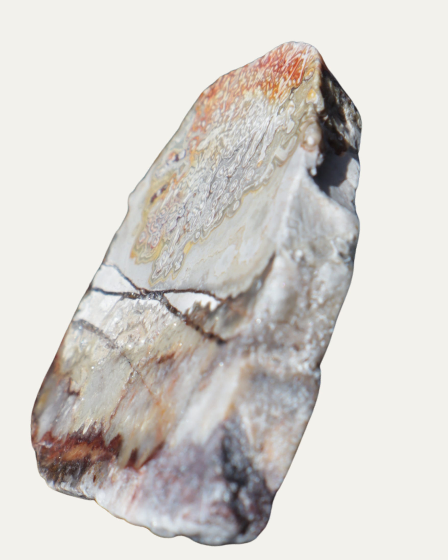 Polished Mexican Crazy Lace Agate