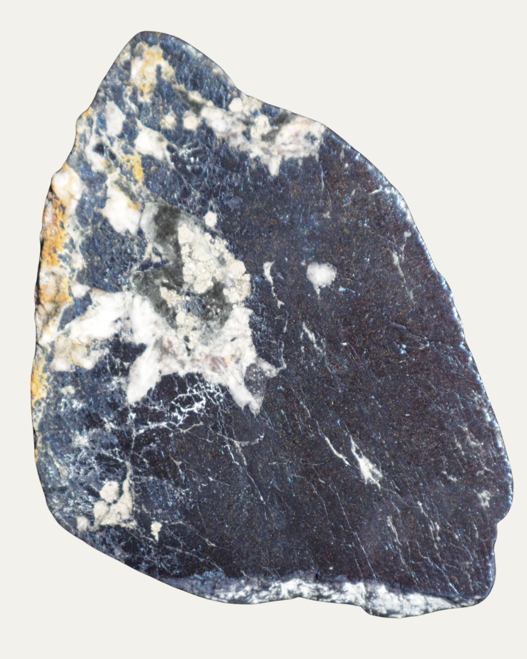 Polished Montana Covellite