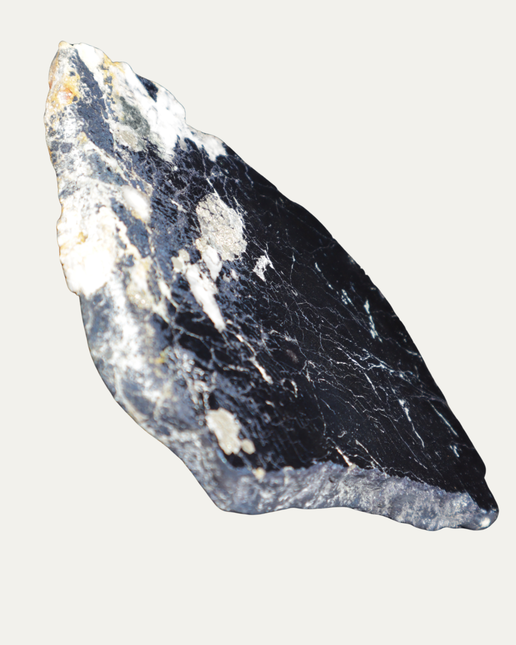 Polished Montana Covellite