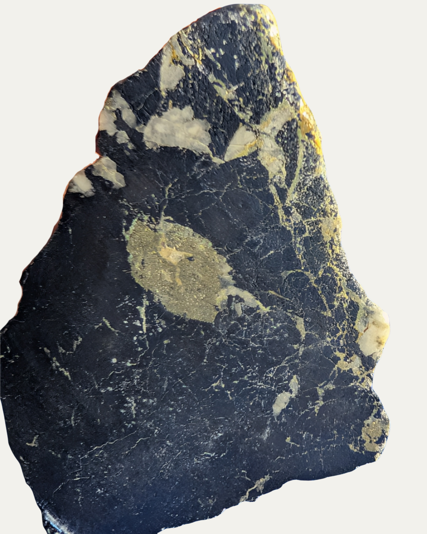 Polished Montana Covellite