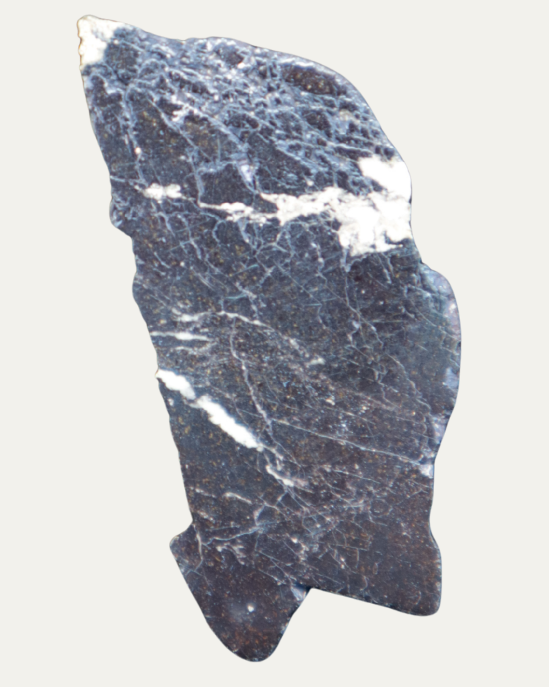 Polished Montana Covellite