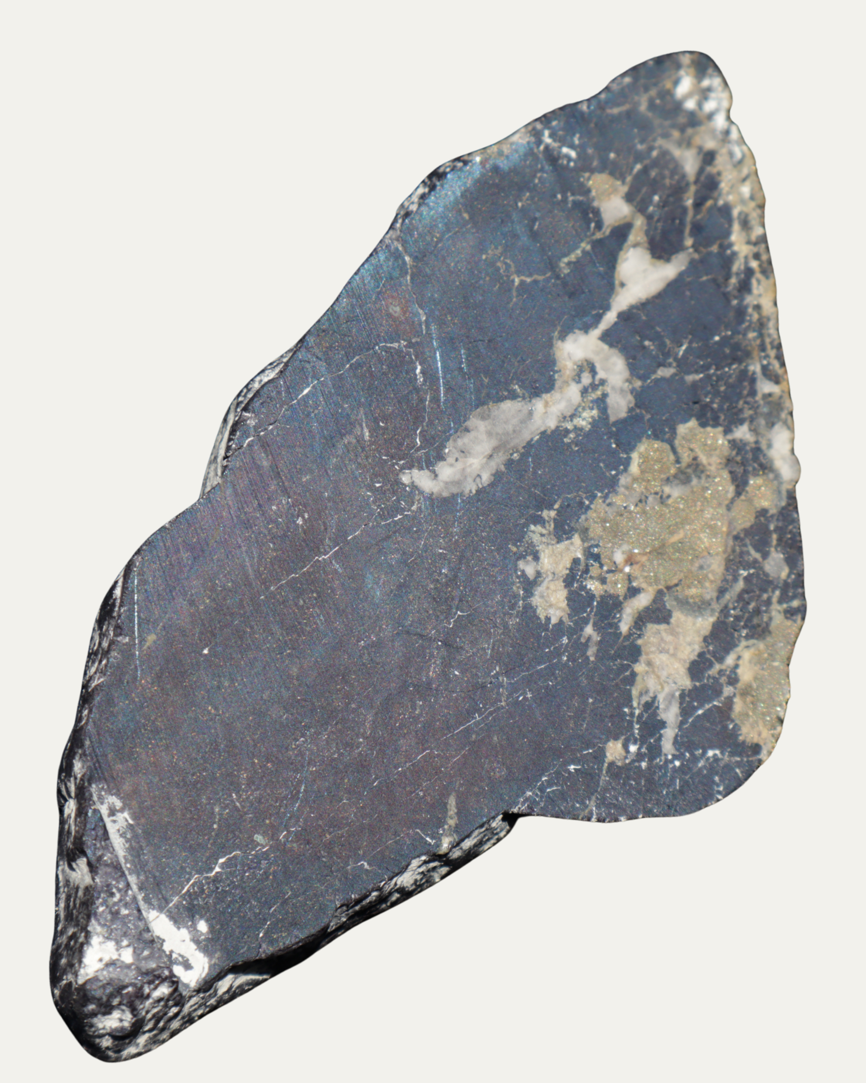 Polished Montana Covellite