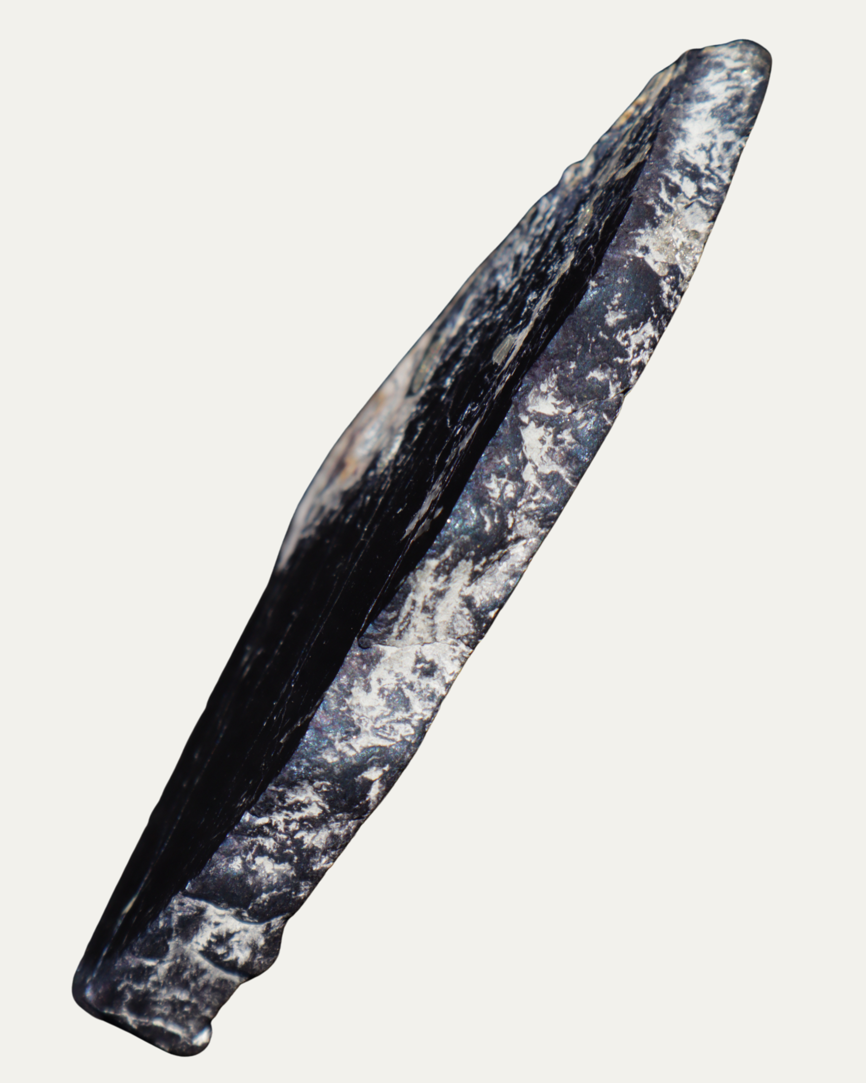 Polished Montana Covellite