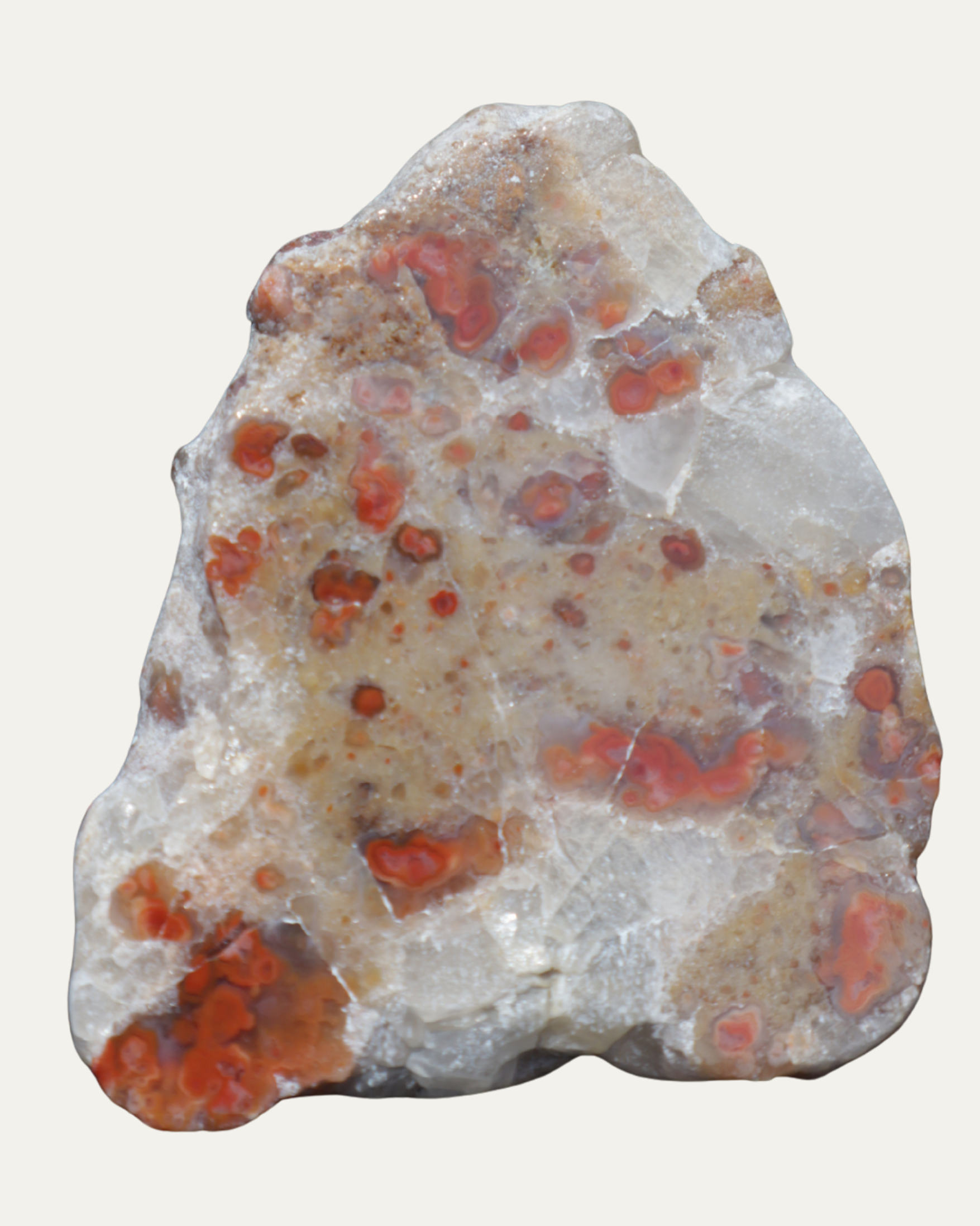 Pudding Stone Old Stock Polished Lost Ancients Jewelry