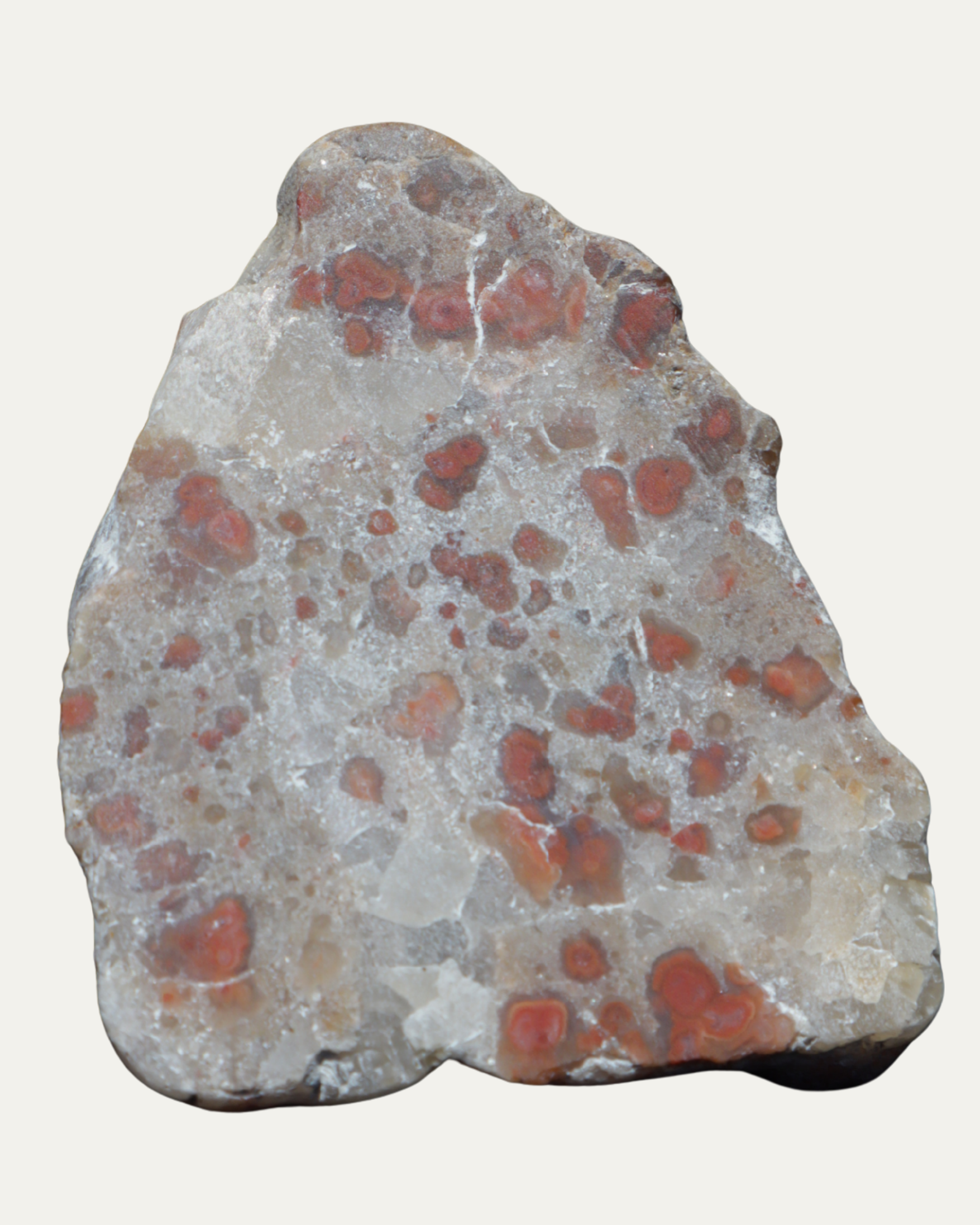 Polished Pudding Stone (Old Stock)