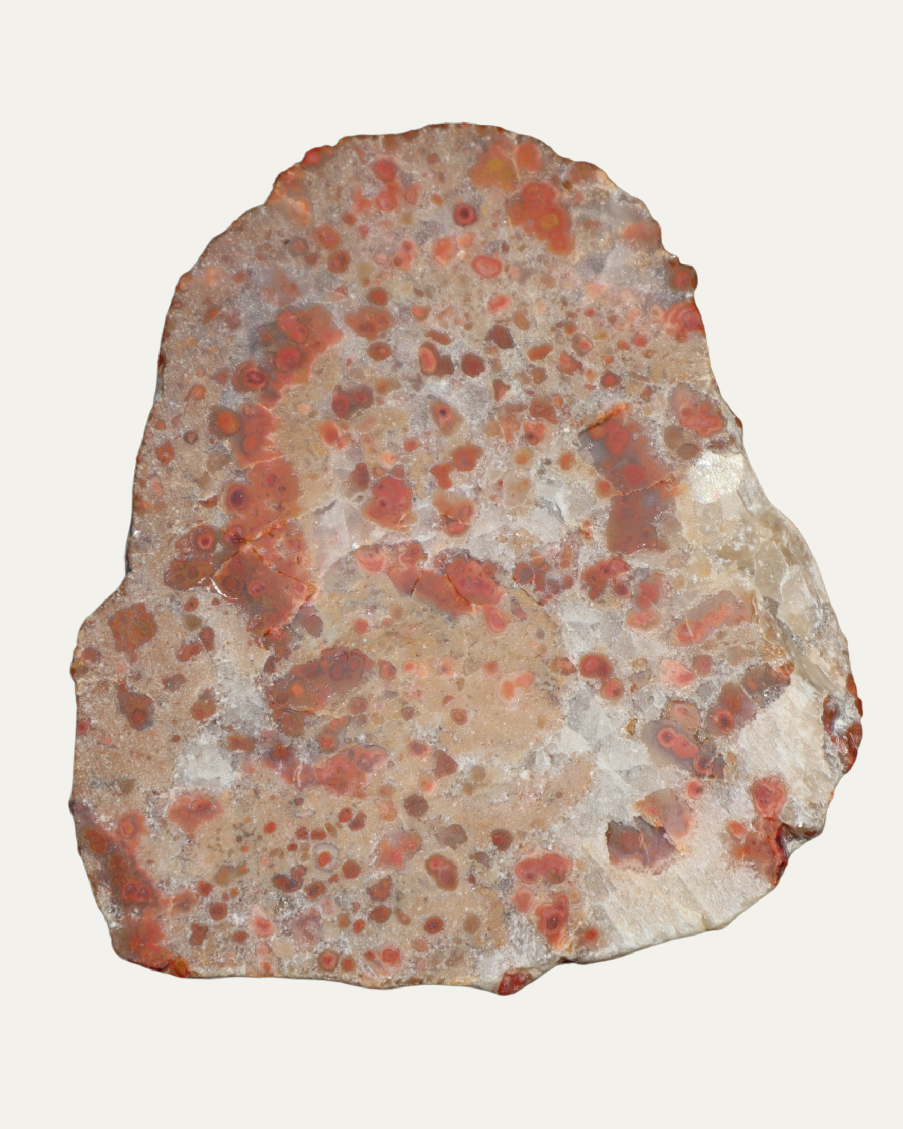 Pudding Stone Old Stock Polished Lost Ancients Jewelry