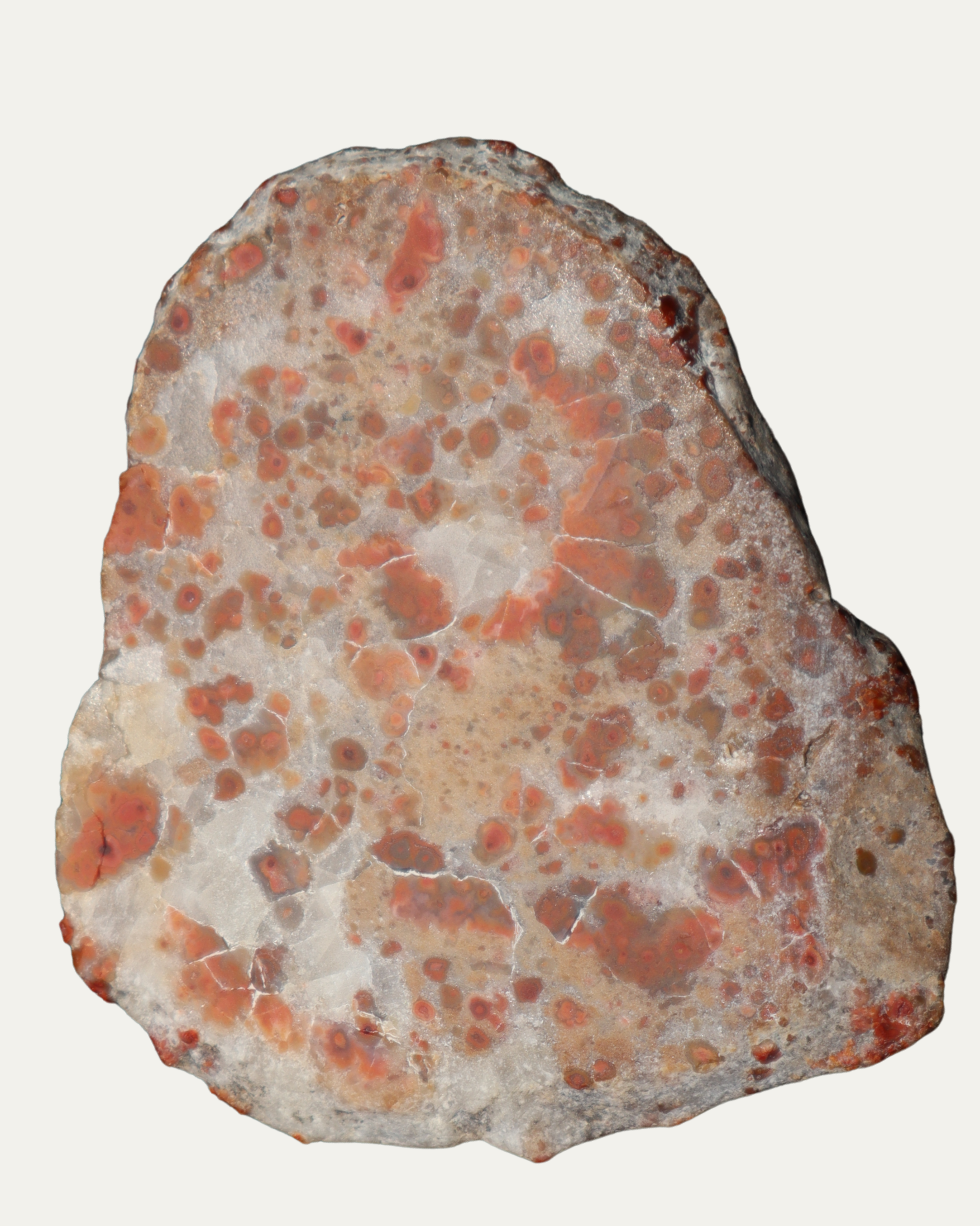 Polished Pudding Stone (Old Stock)