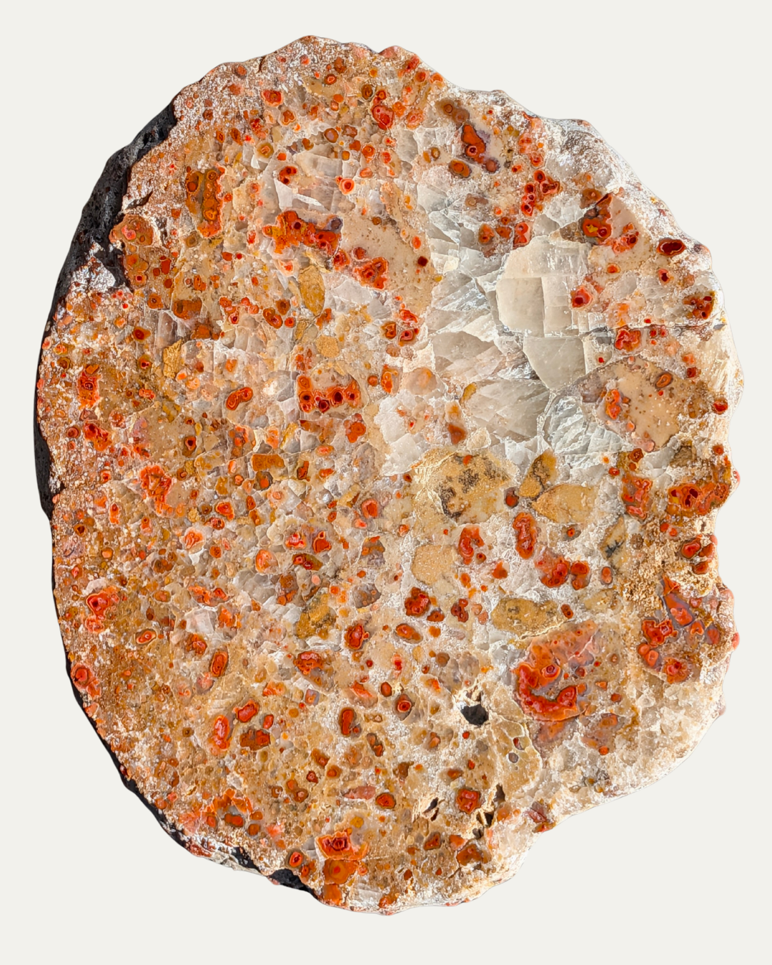 Polished Pudding Stone (223.4g)