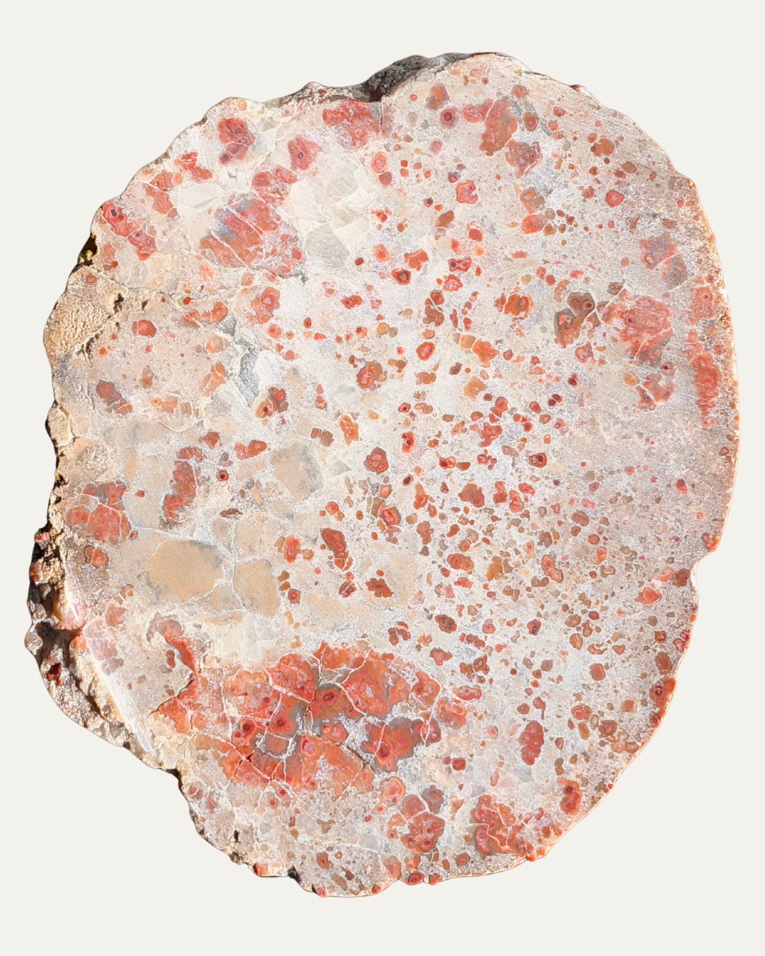 Polished Pudding Stone (223.4g)