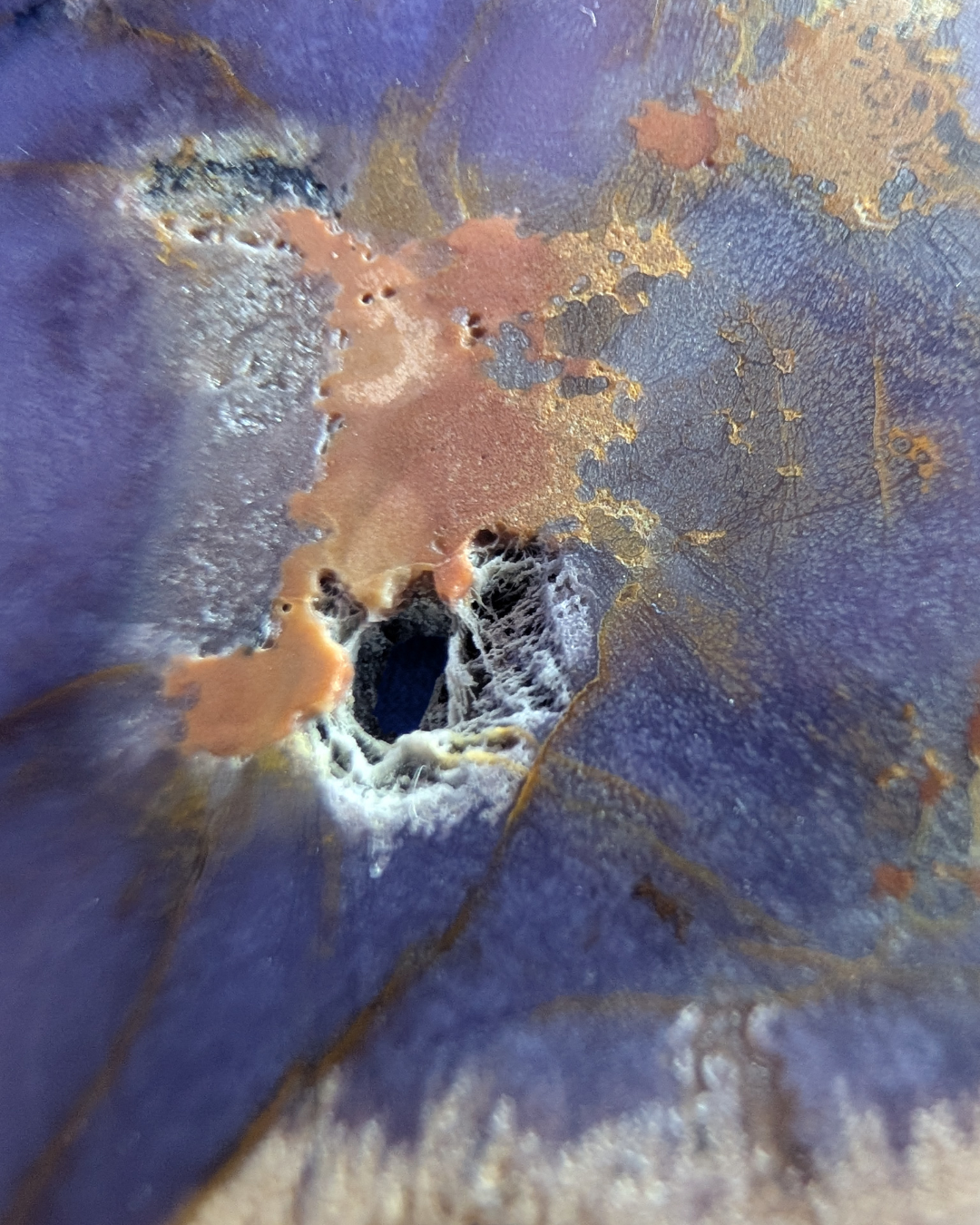 Polished Burrow Creek Purple Agate