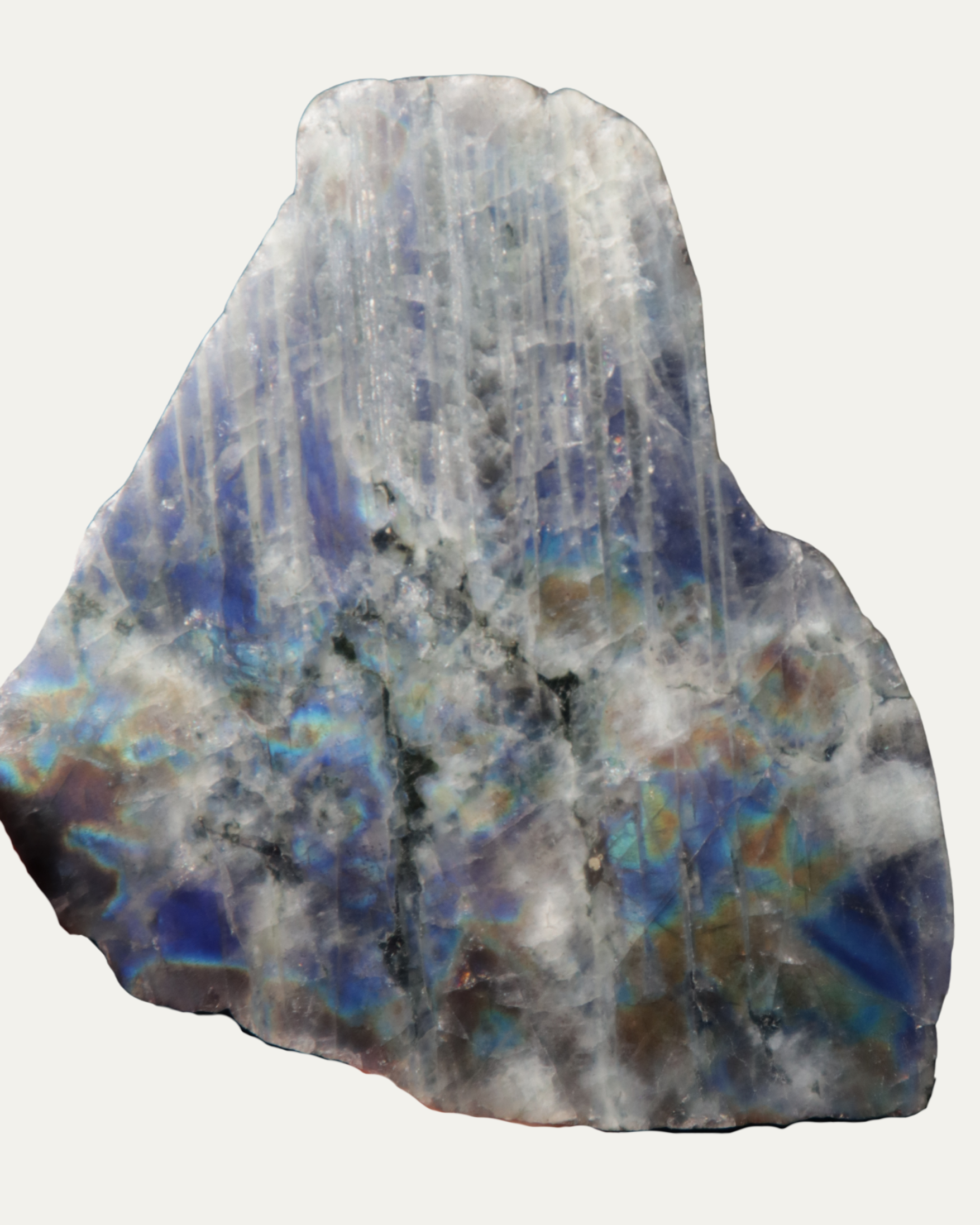 Polished Spectrolite
