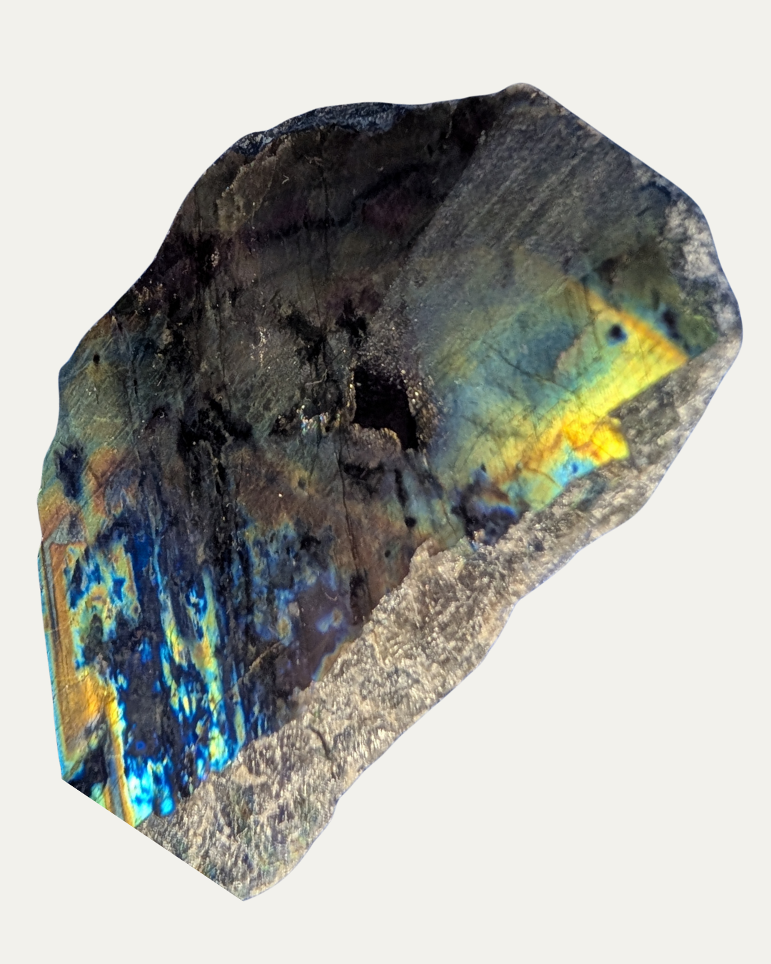 Polished Spectrolite