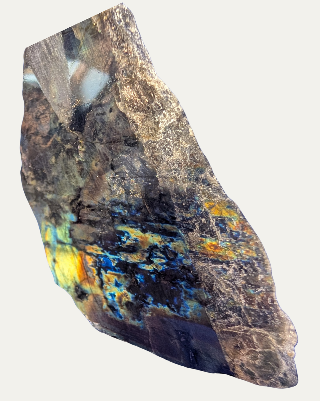 Polished Spectrolite