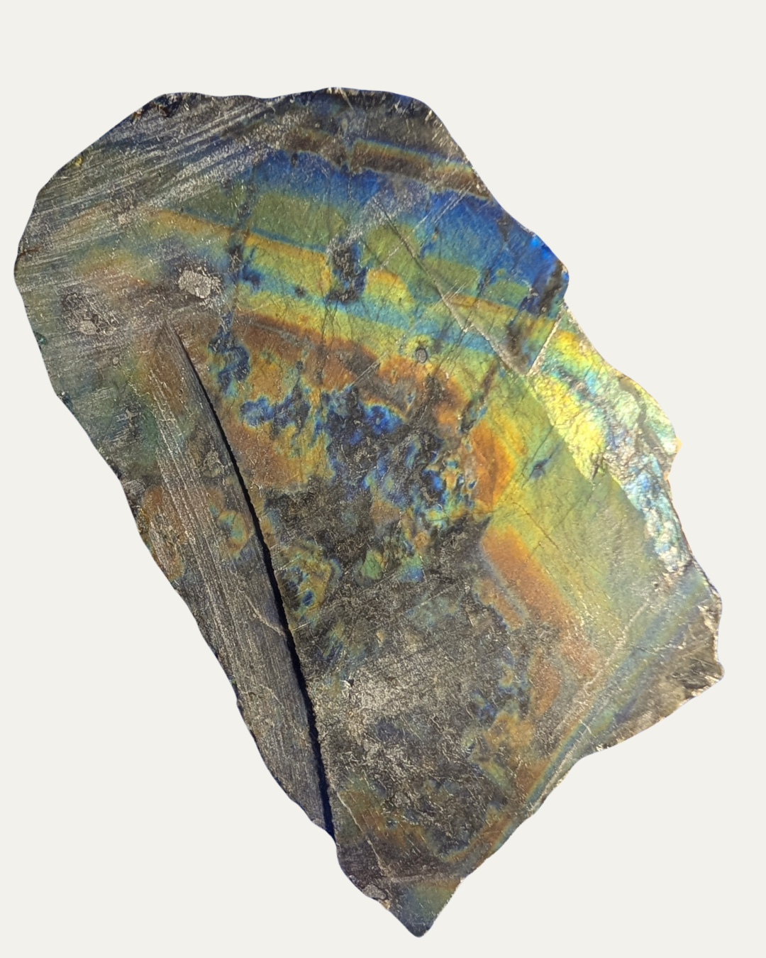 Polished Spectrolite