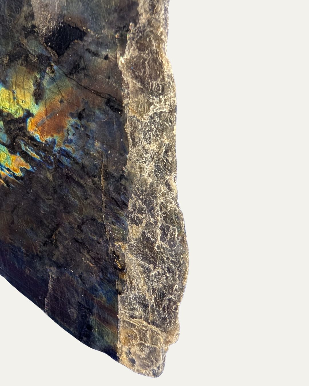 Polished Spectrolite