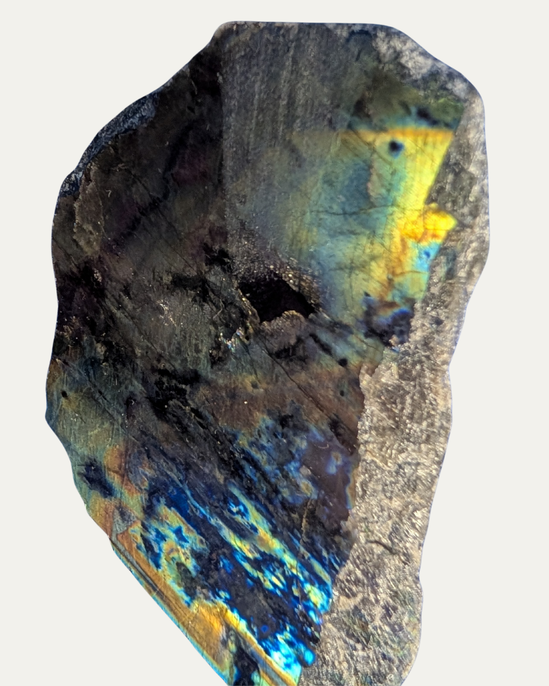 Polished Spectrolite