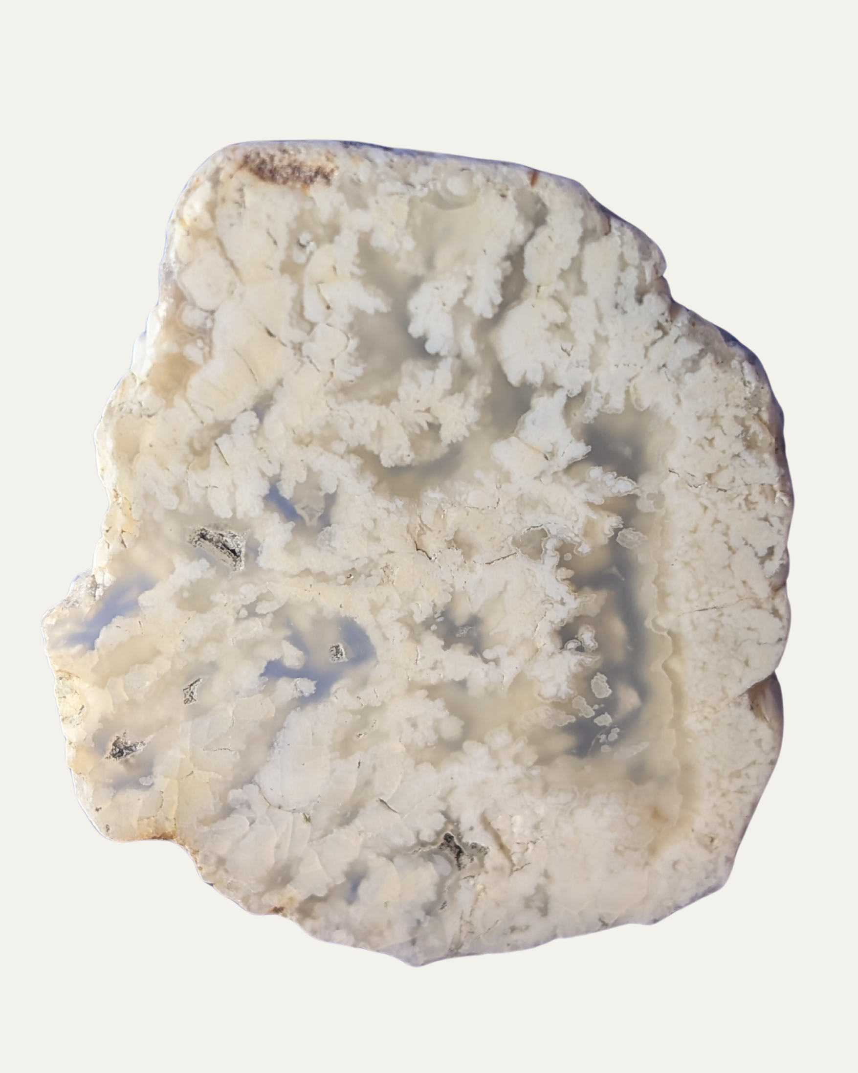 Stinking Water Plume Agate Oregon Polished Lost Ancients Jewelry