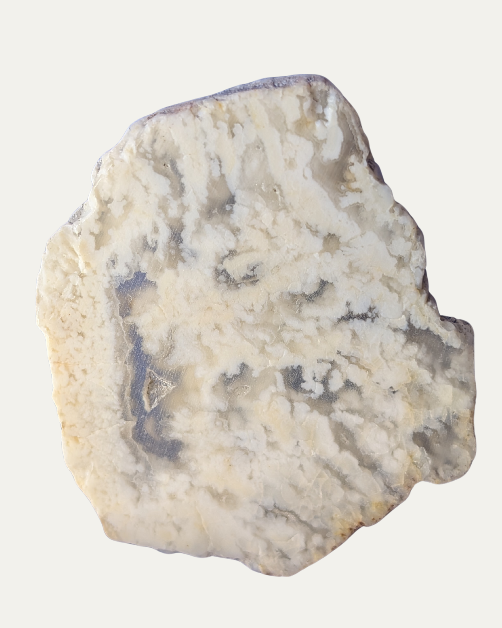 Polished Stinking Water Plume Agate (Oregon)