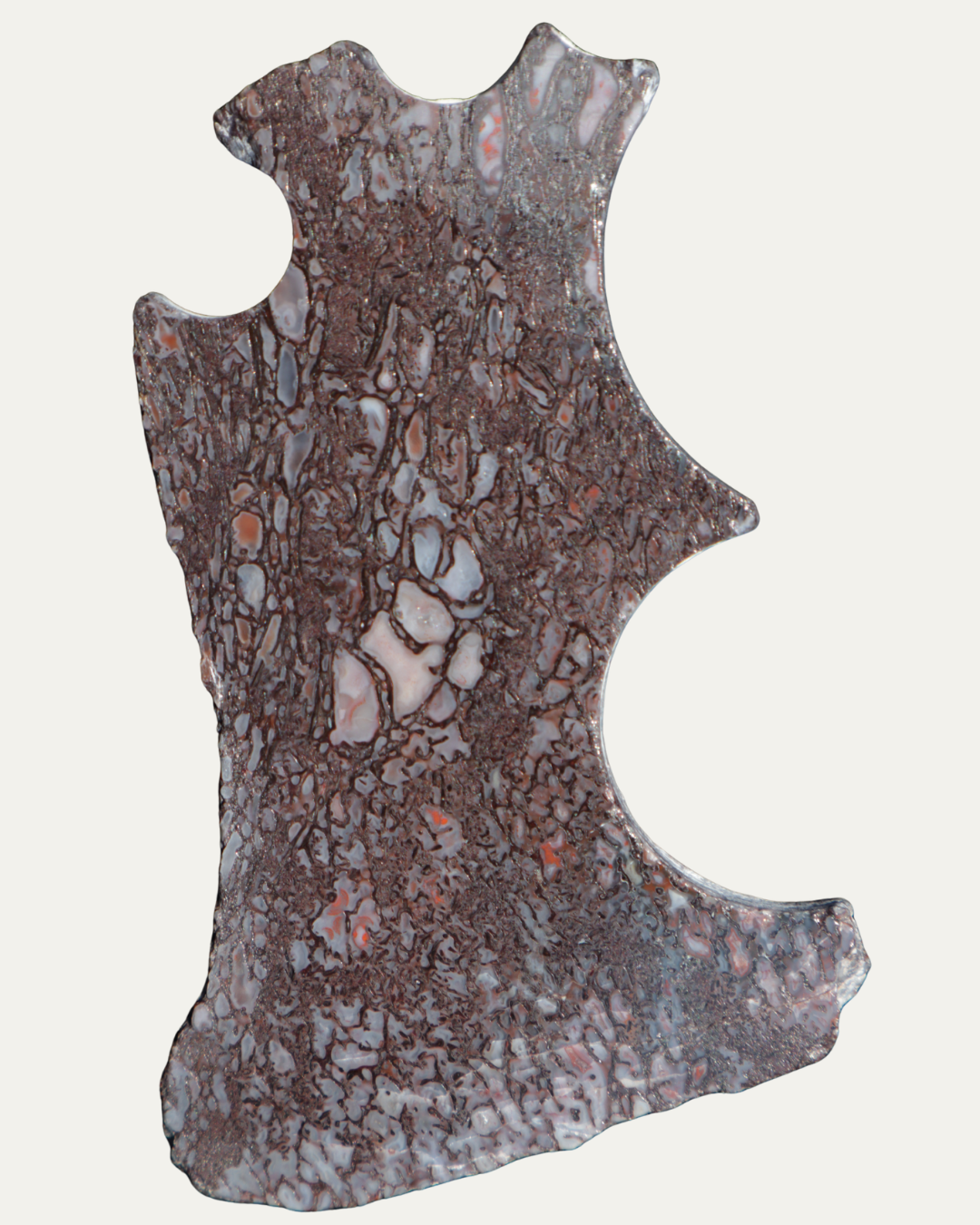 Polished Utah Gem Agatized Dinosaur Bone