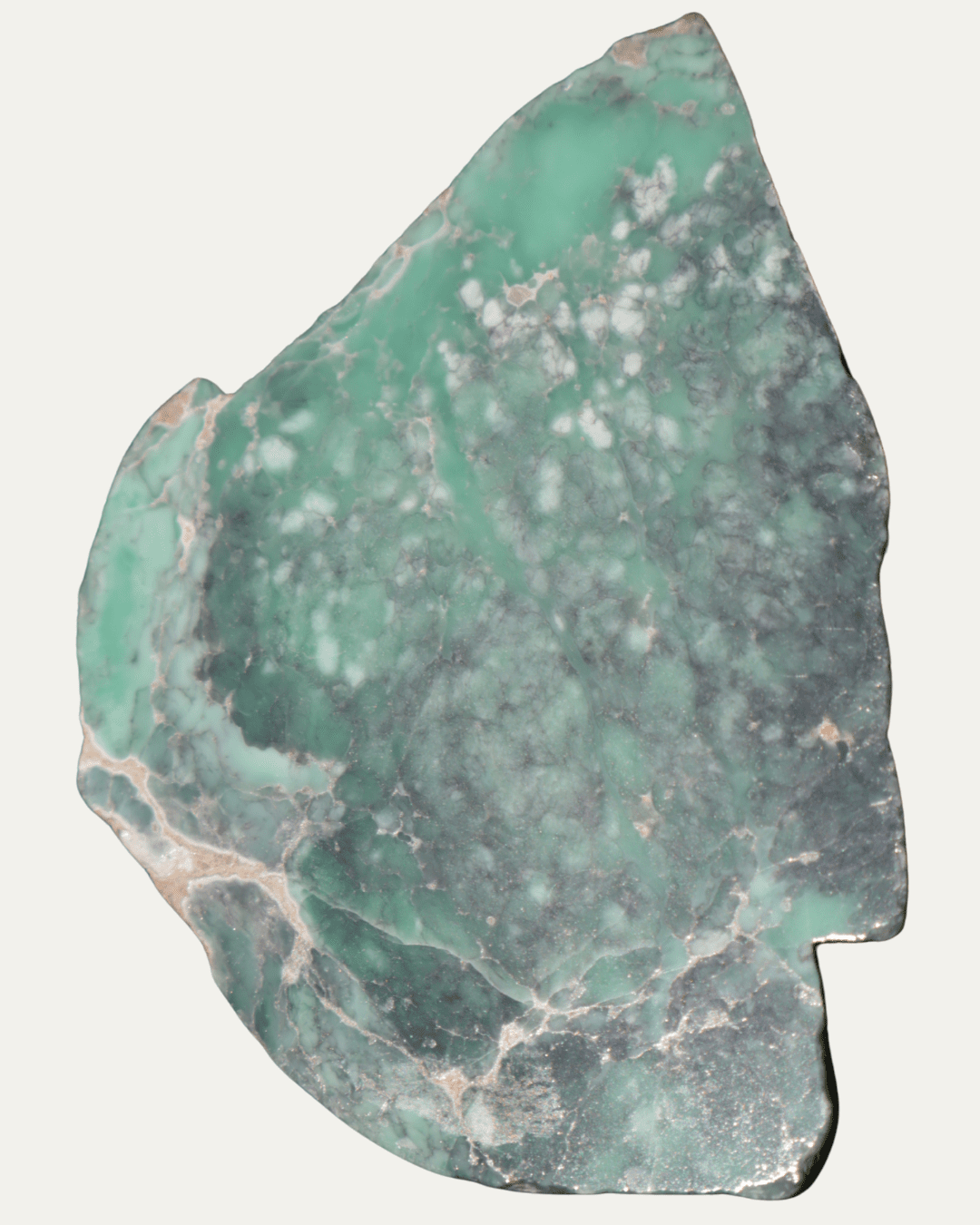 Polished Australian Spiderweb Variscite - Lost Ancients Jewelry