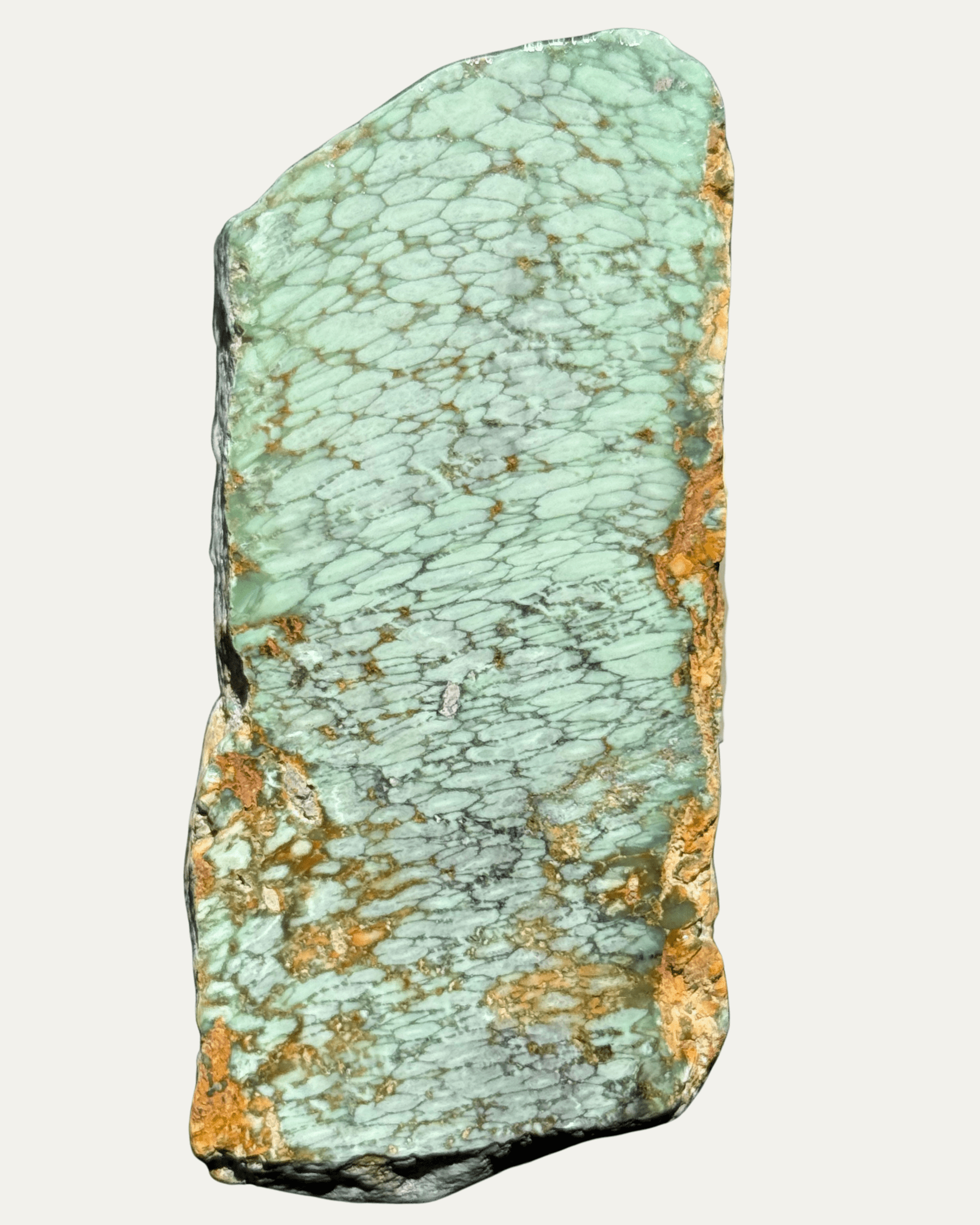 Polished Australian Spiderweb Variscite - Lost Ancients Jewelry