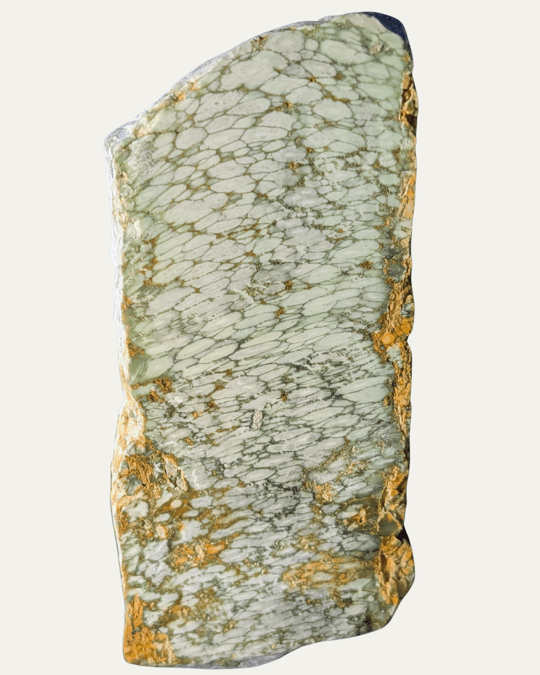 Polished Australian Spiderweb Variscite - Lost Ancients Jewelry